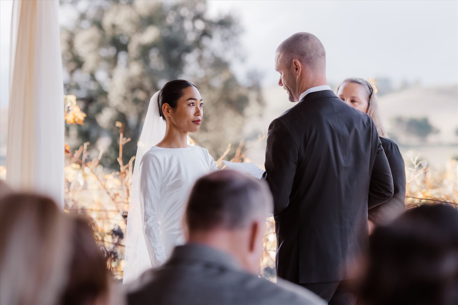 Final-2488.jpg  by Sarah Williams