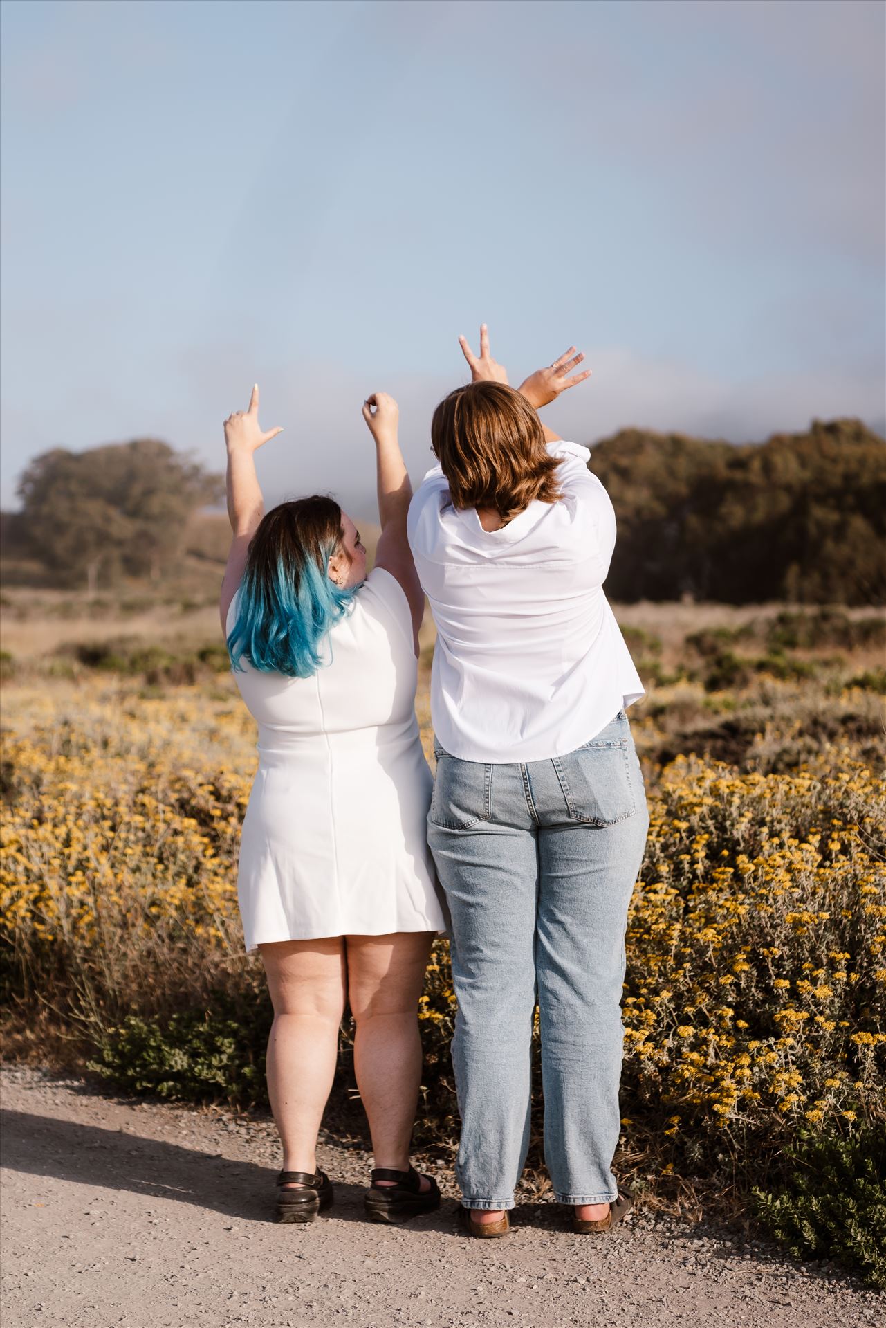 Final-5001.jpg  by Sarah Williams