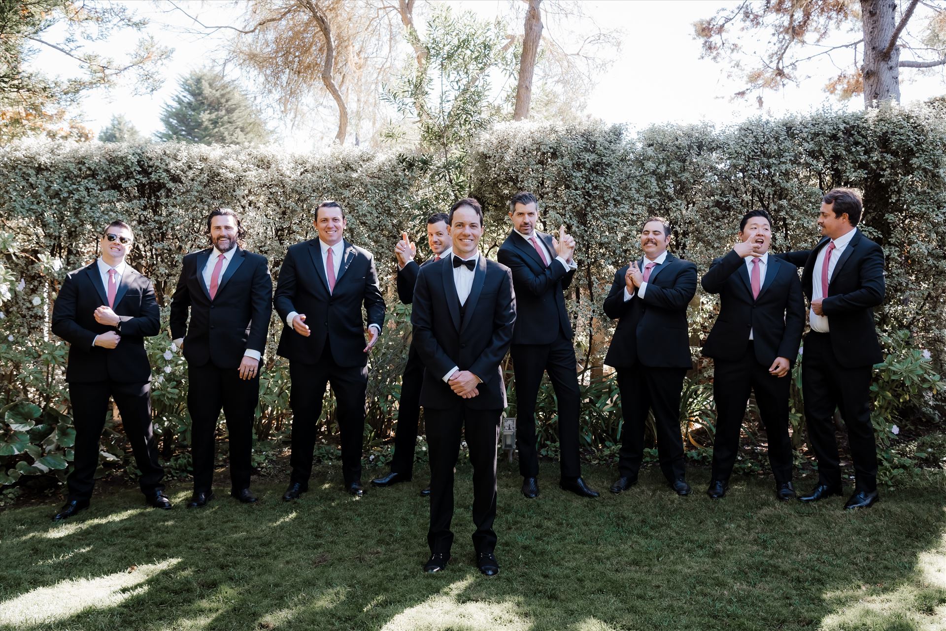 Final-8024.jpg  by Sarah Williams