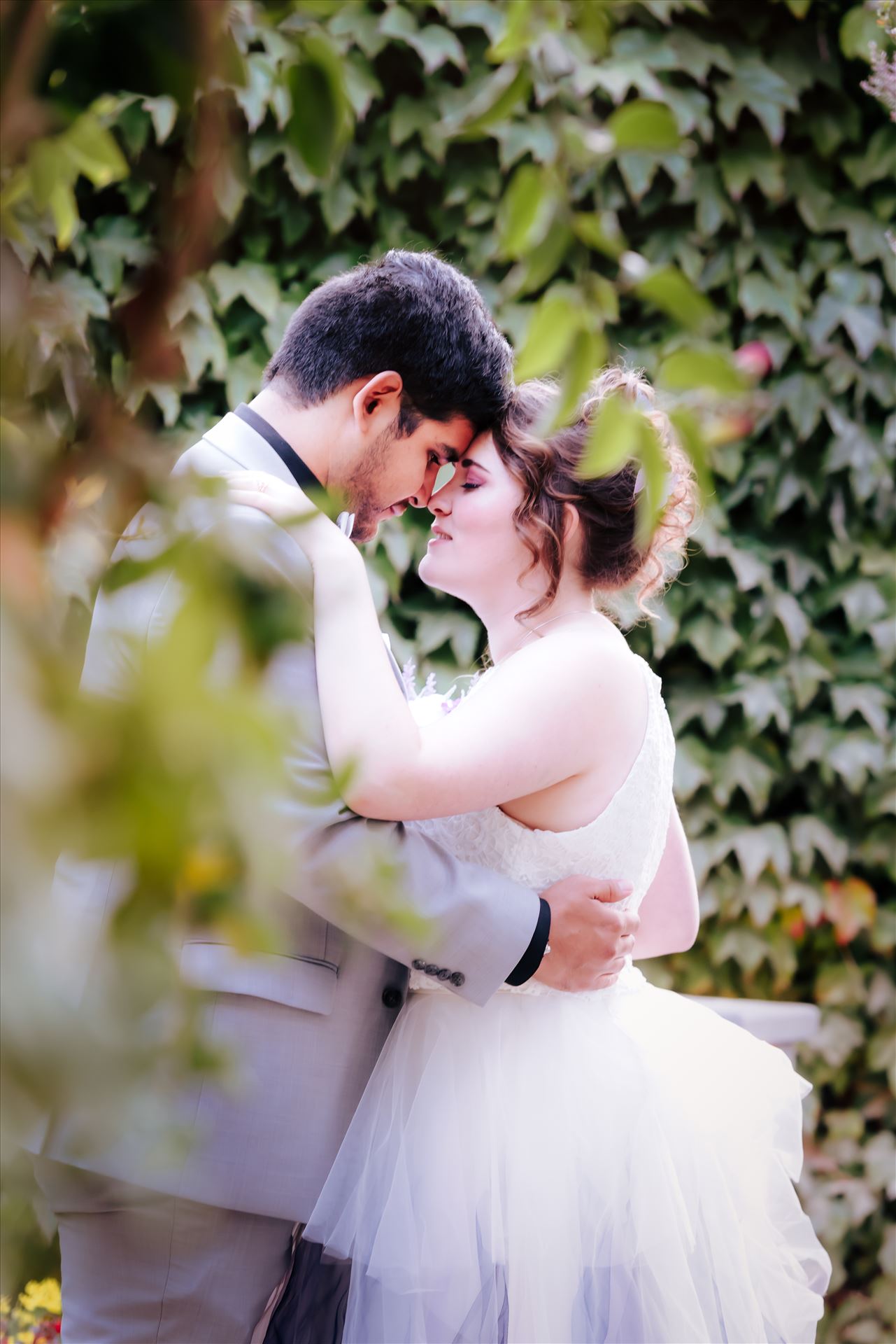 WF--14.JPG  by Sarah Williams