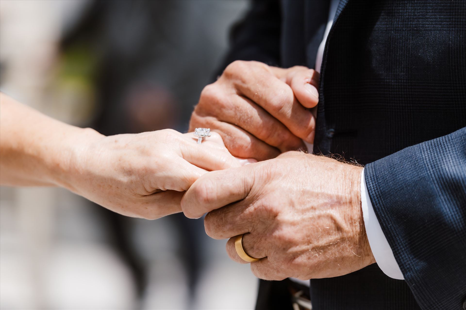 Final-7880.jpg  by Sarah Williams