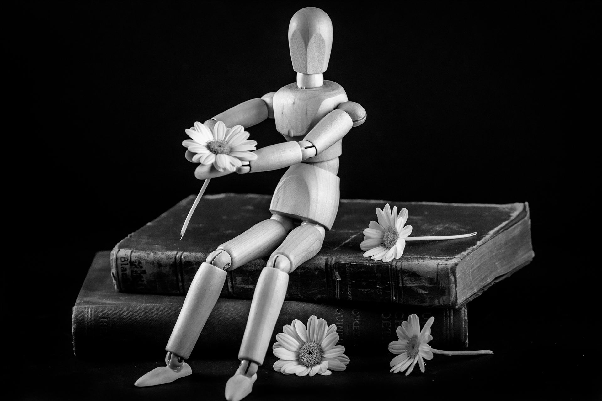 Artificial Apology.jpg It takes more than a flower to say "I'm sorry" by Sarah Williams