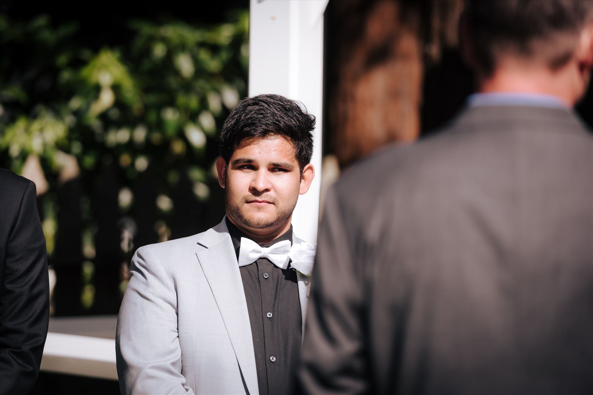 WF-0284.JPG  by Sarah Williams