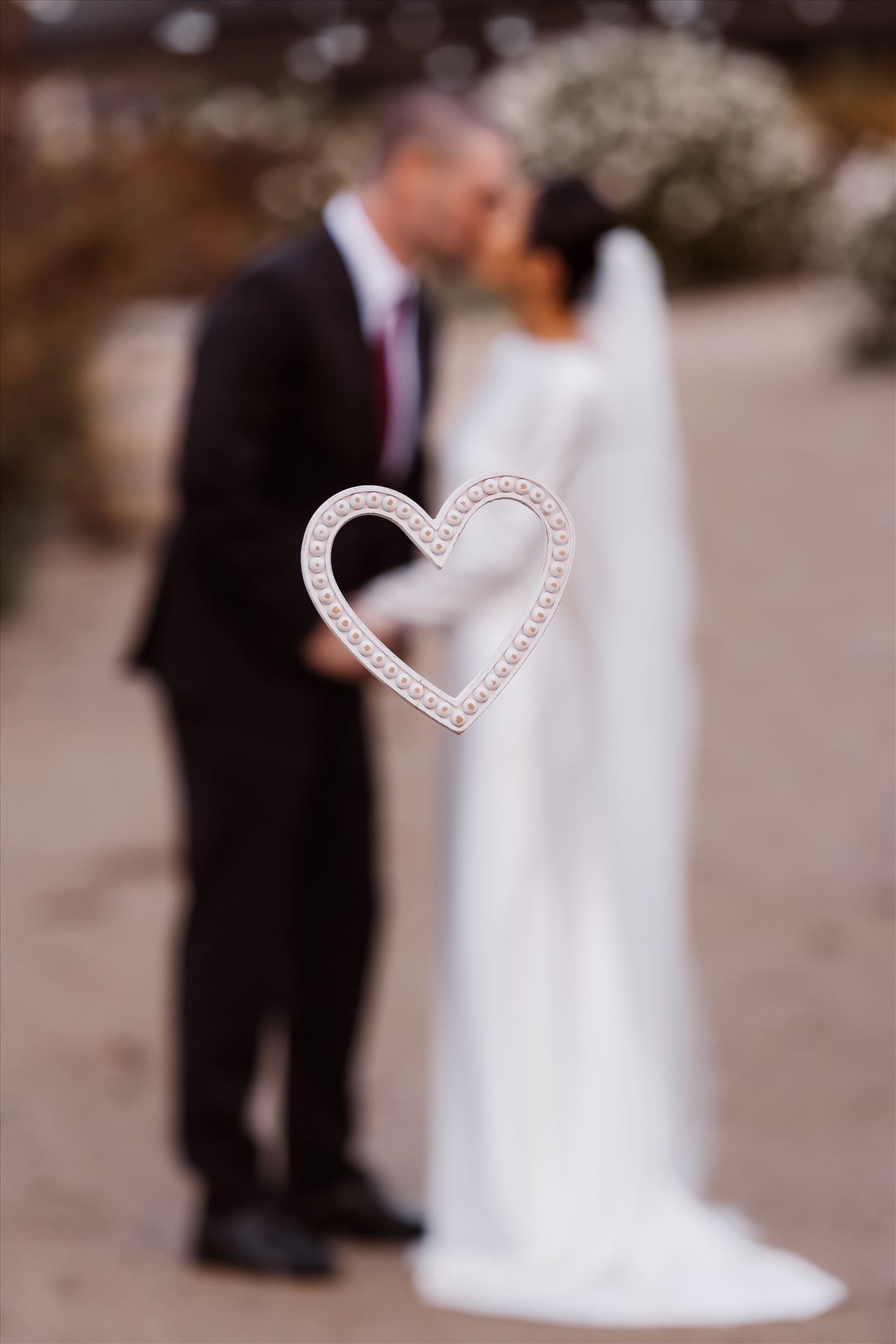 BG Final--12.jpg  by Sarah Williams