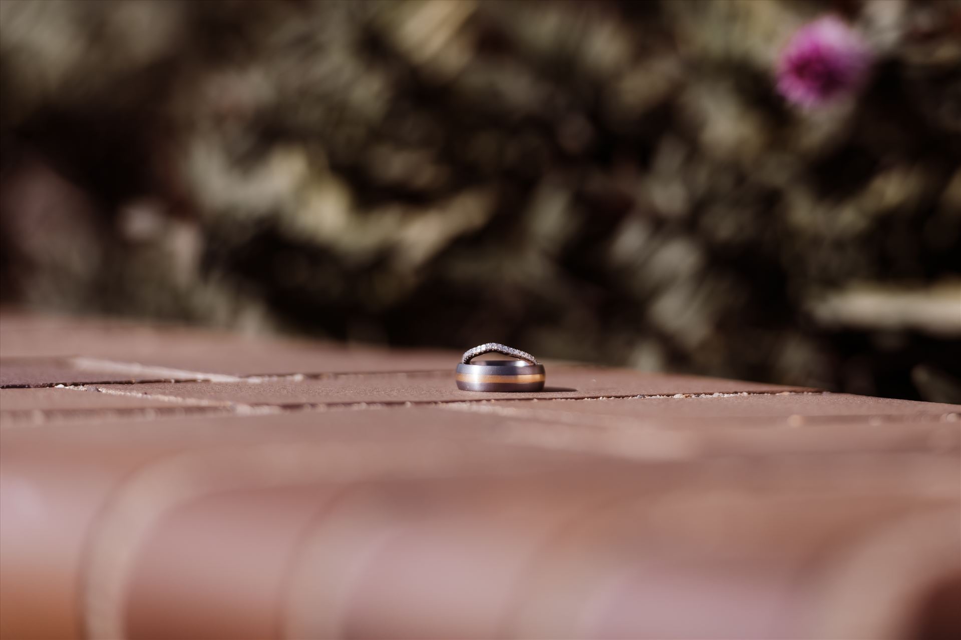 Final-1444.jpg  by Sarah Williams