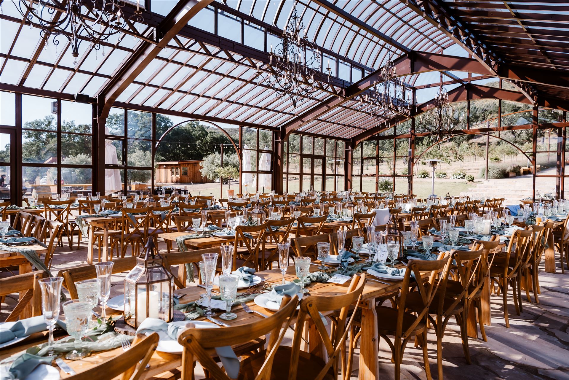 Final-1404.jpg  by Sarah Williams