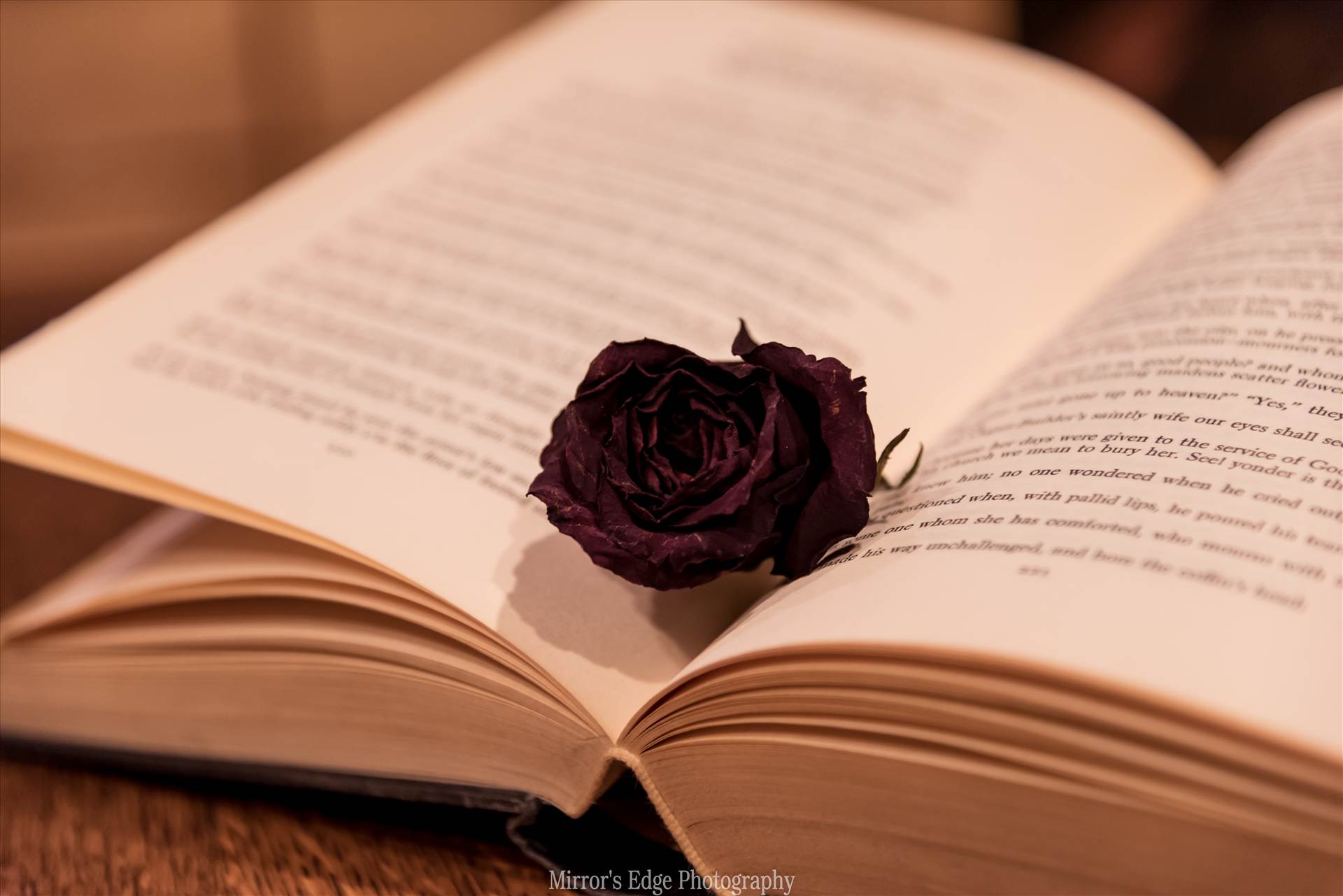Black Rose in a Book.jpg undefined by Sarah Williams