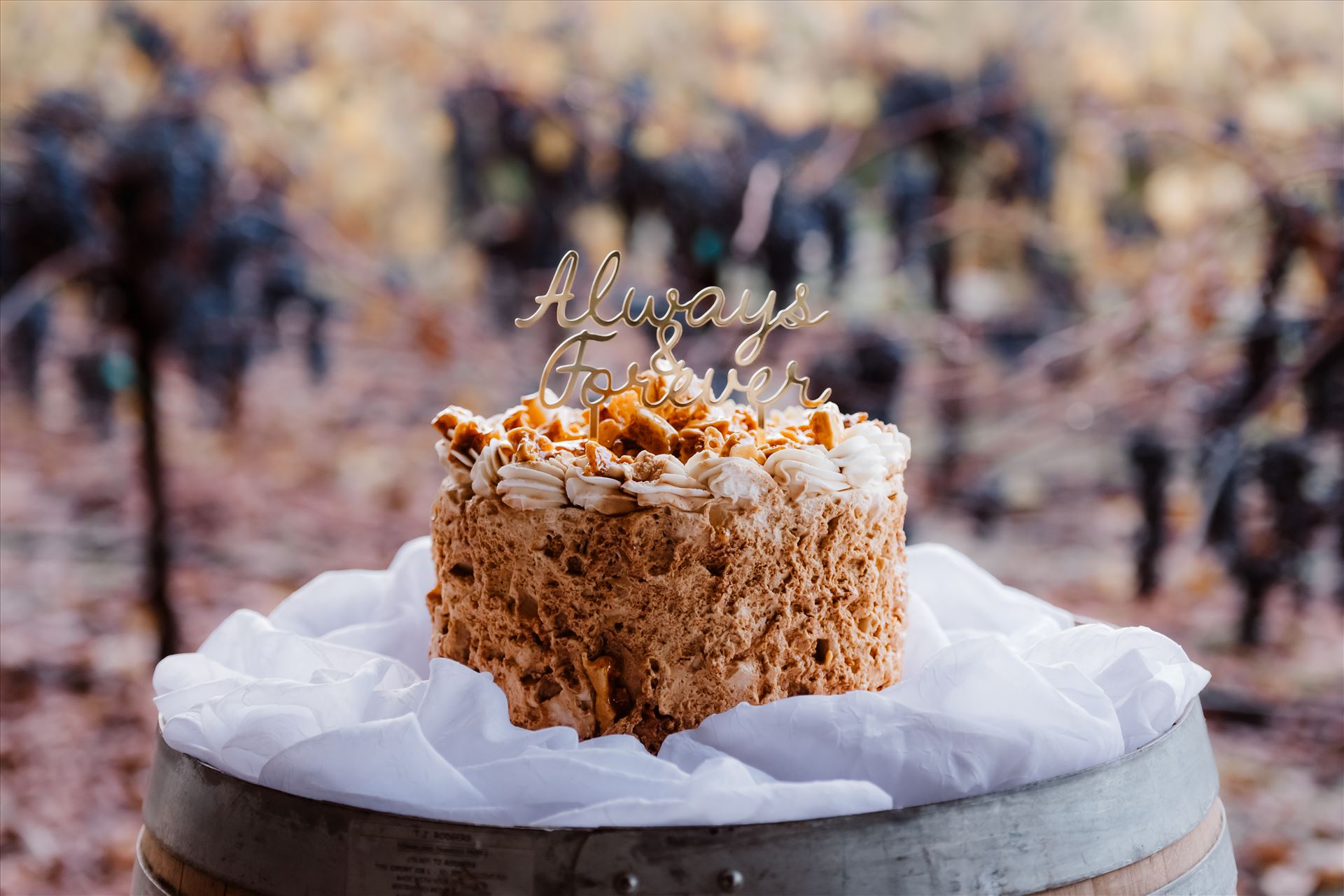 Final-2720.jpg  by Sarah Williams