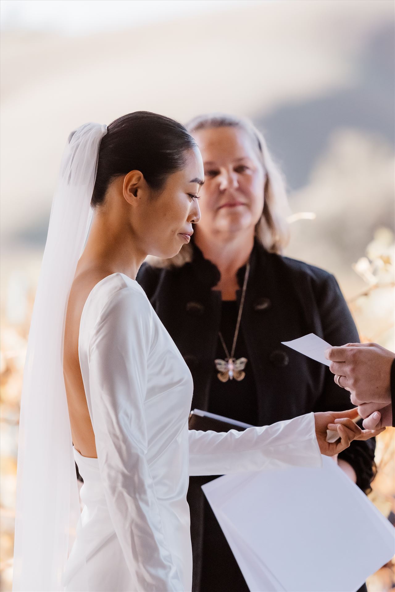 Final-2473.jpg  by Sarah Williams