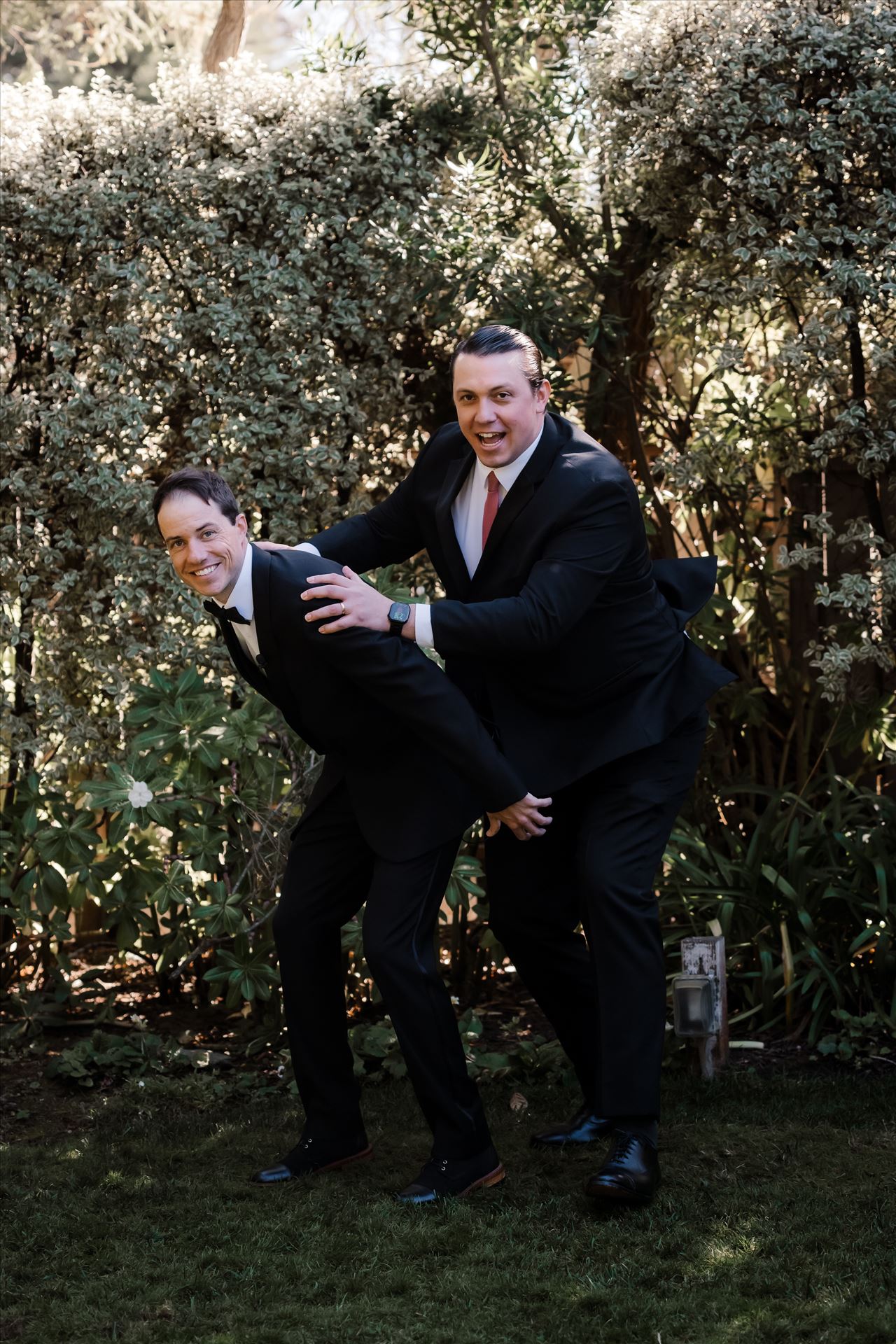 Final-9673.jpg  by Sarah Williams