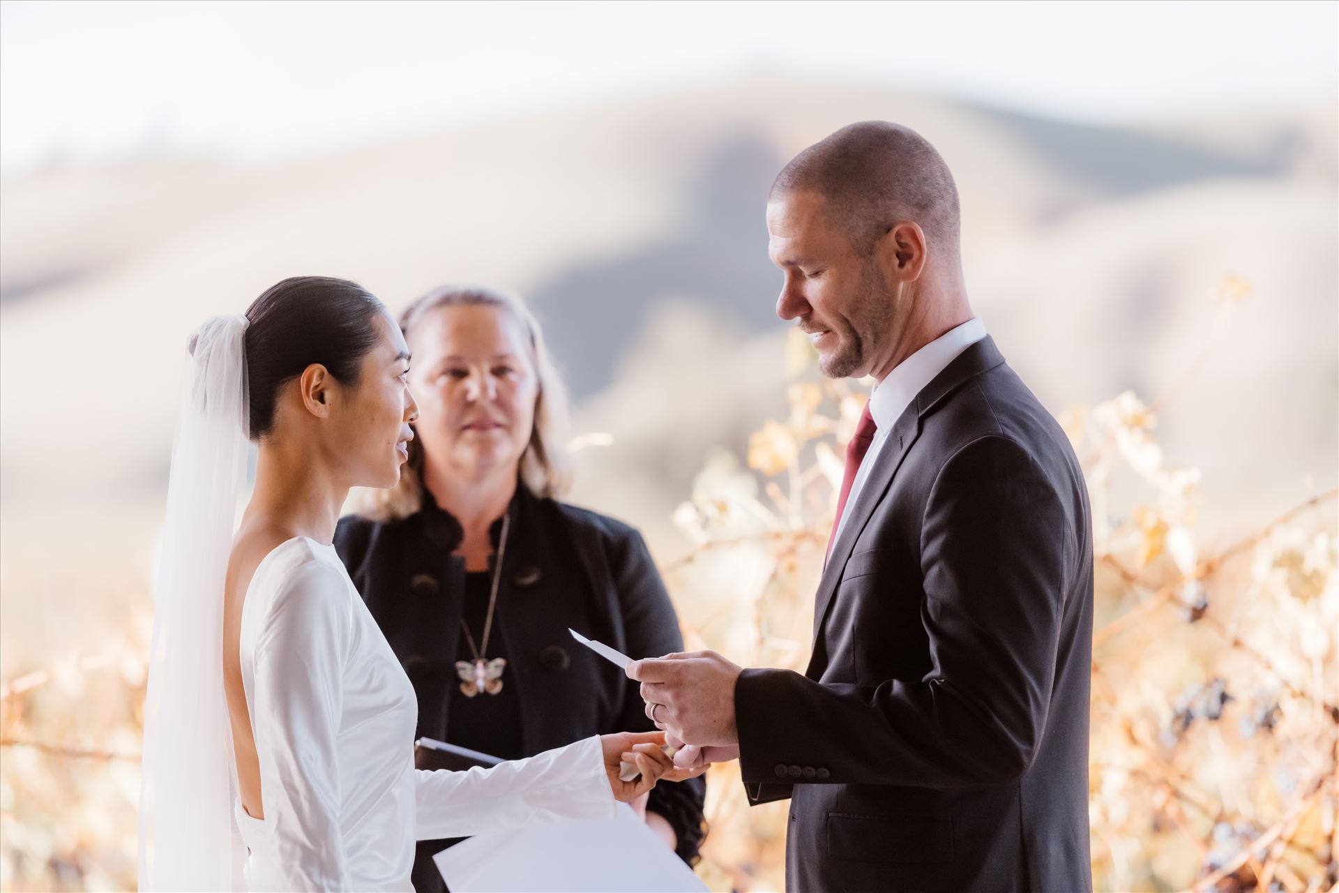 Final-2471.jpg  by Sarah Williams