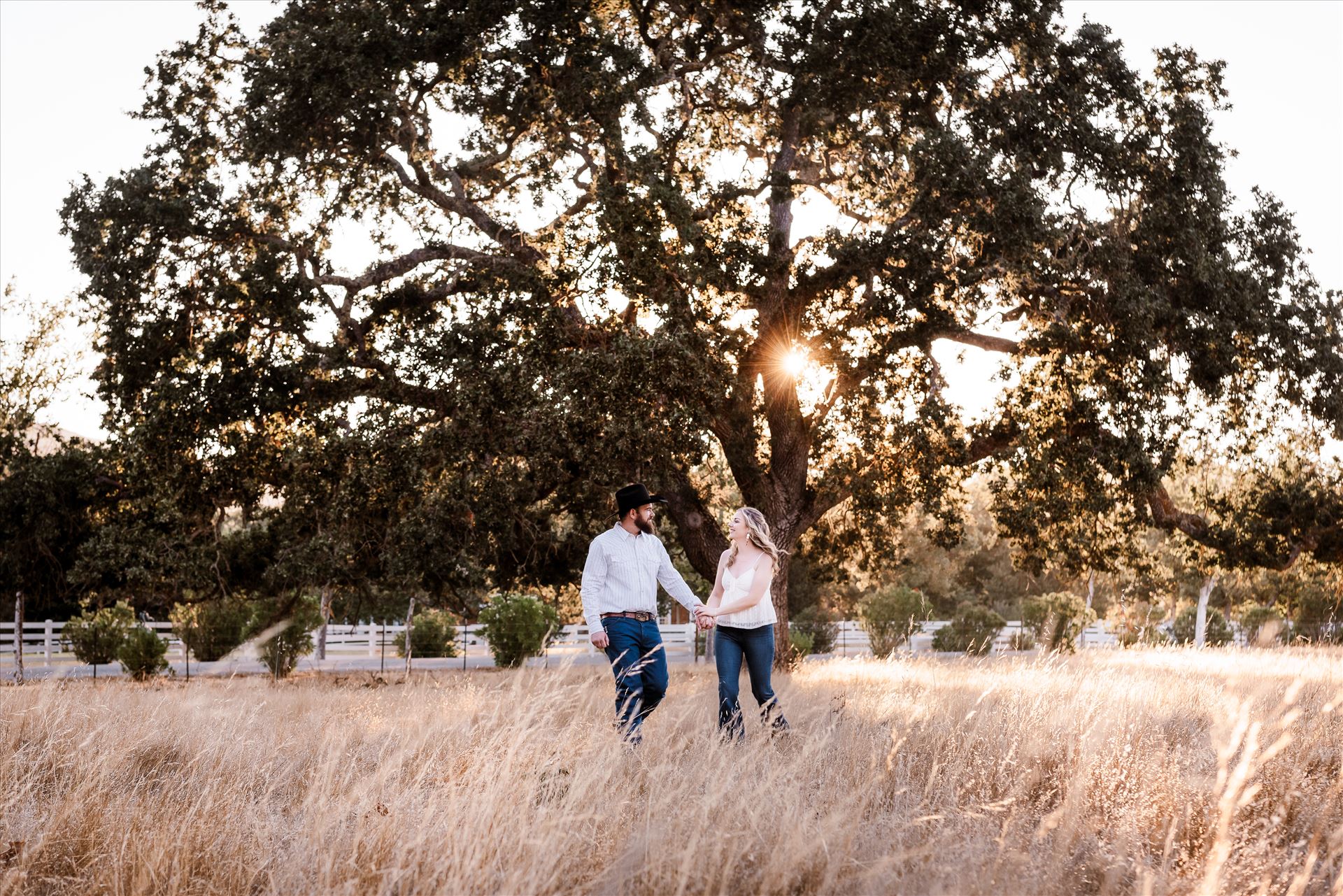 Final--3.jpg  by Sarah Williams