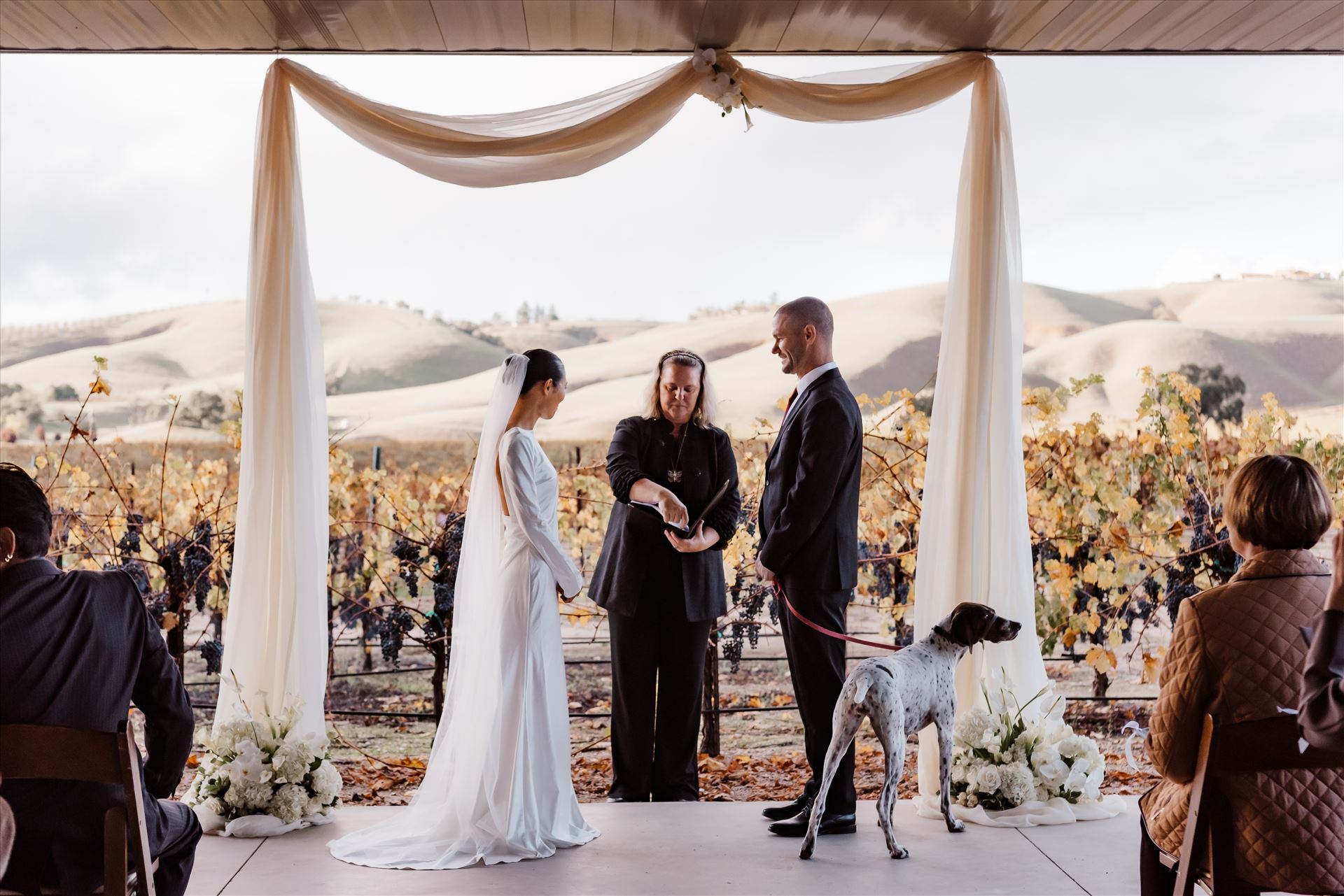 Final-9100.jpg  by Sarah Williams