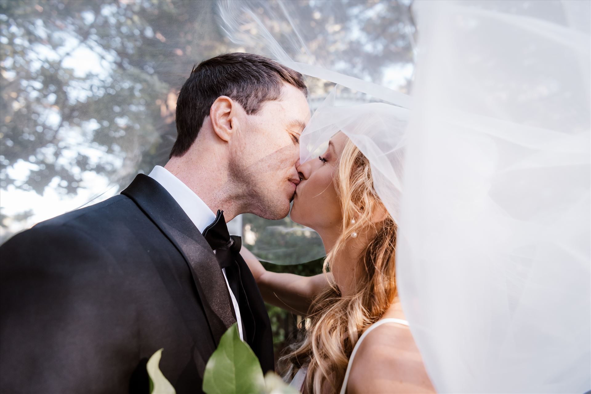 Final BG-8441.jpg  by Sarah Williams