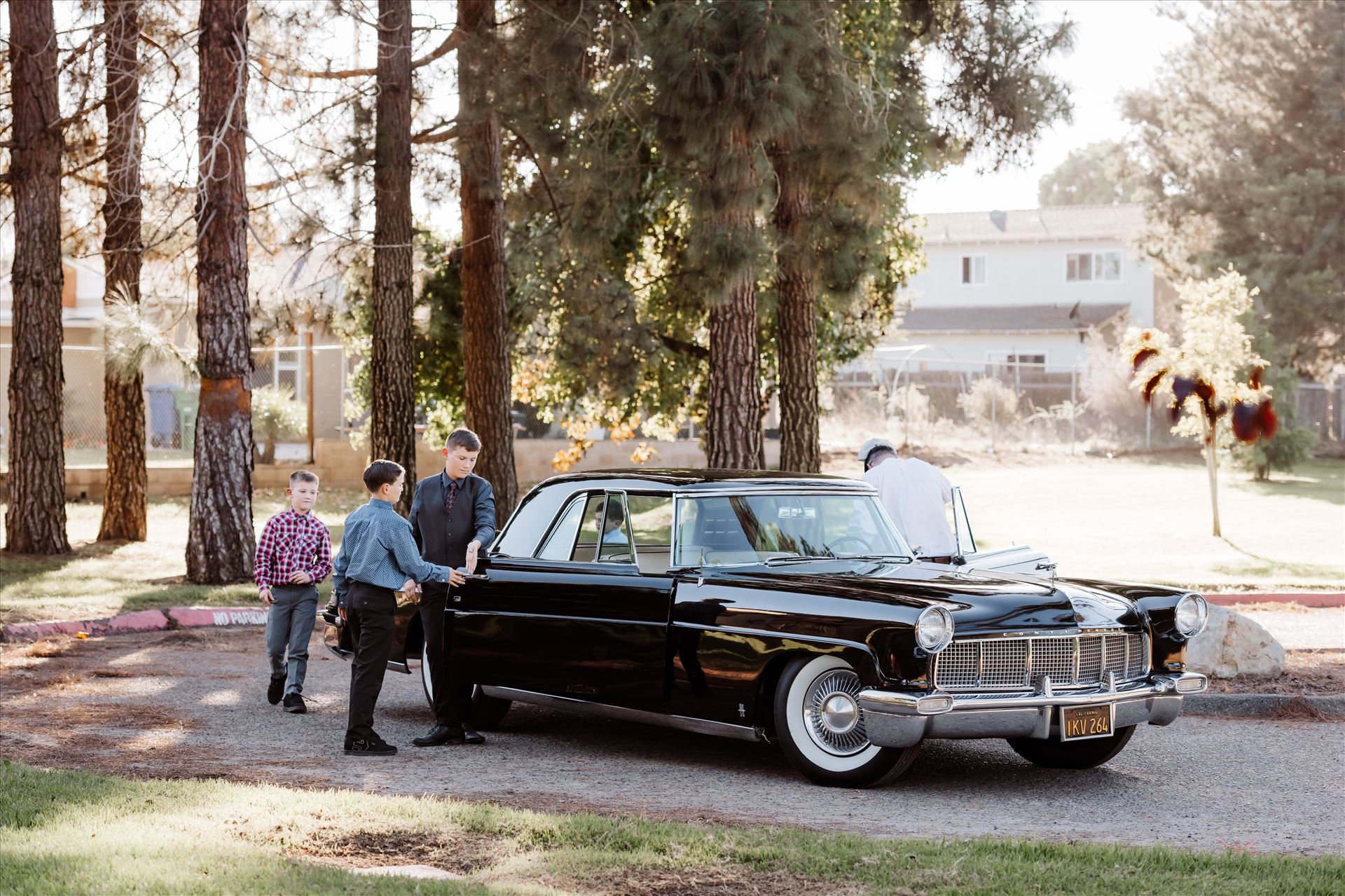 Final-1670.jpg  by Sarah Williams