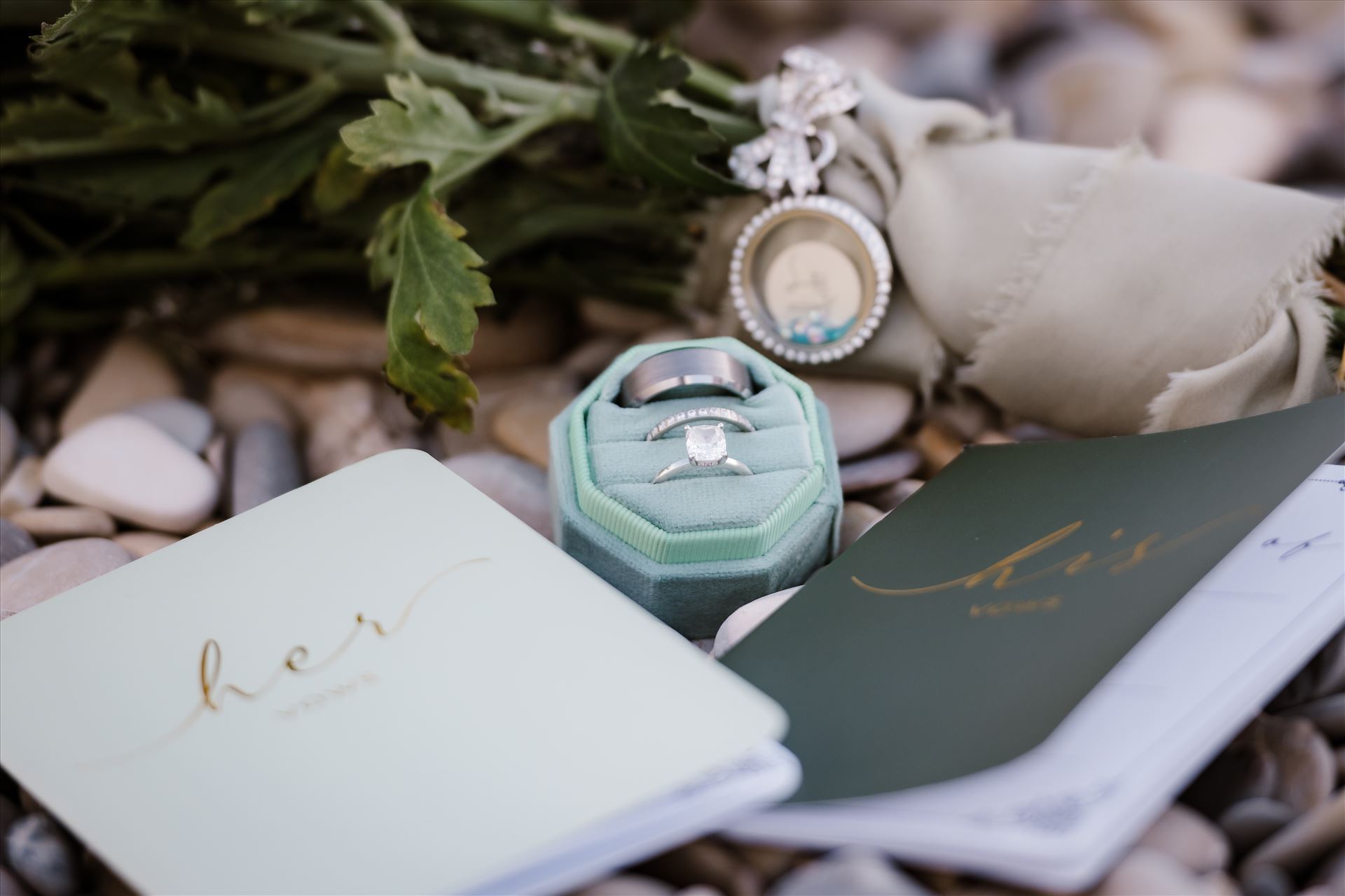 Elopement-1851.jpg  by Sarah Williams