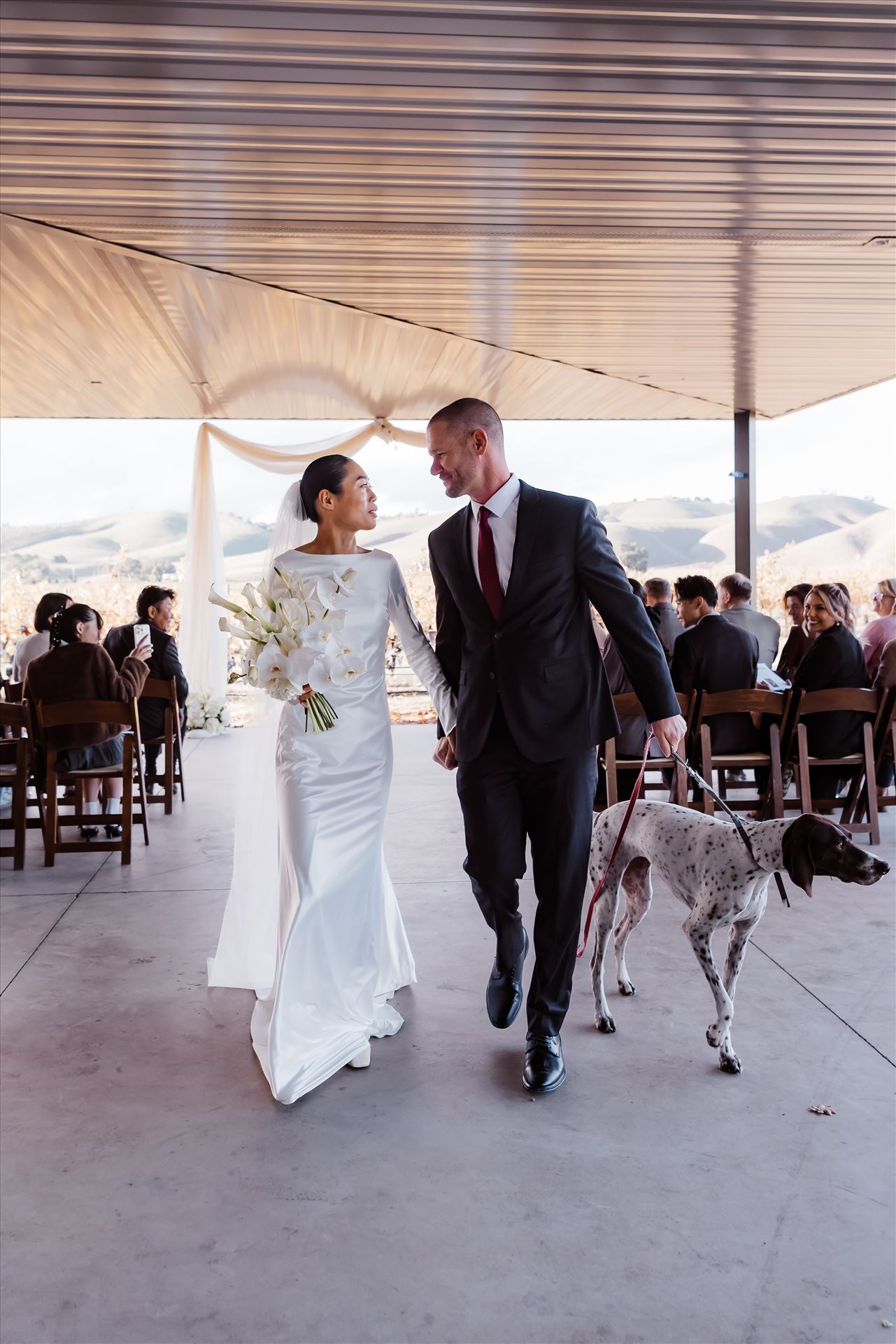 Final-9172.jpg  by Sarah Williams