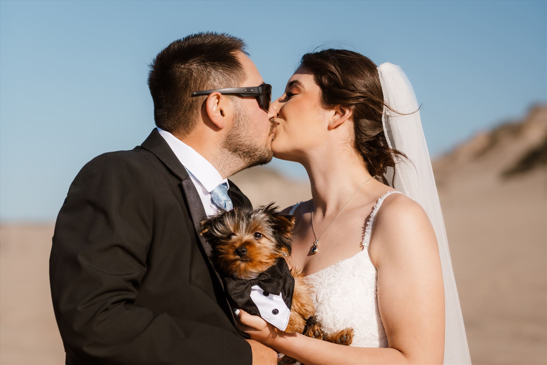 Final-4624.jpg  by Sarah Williams