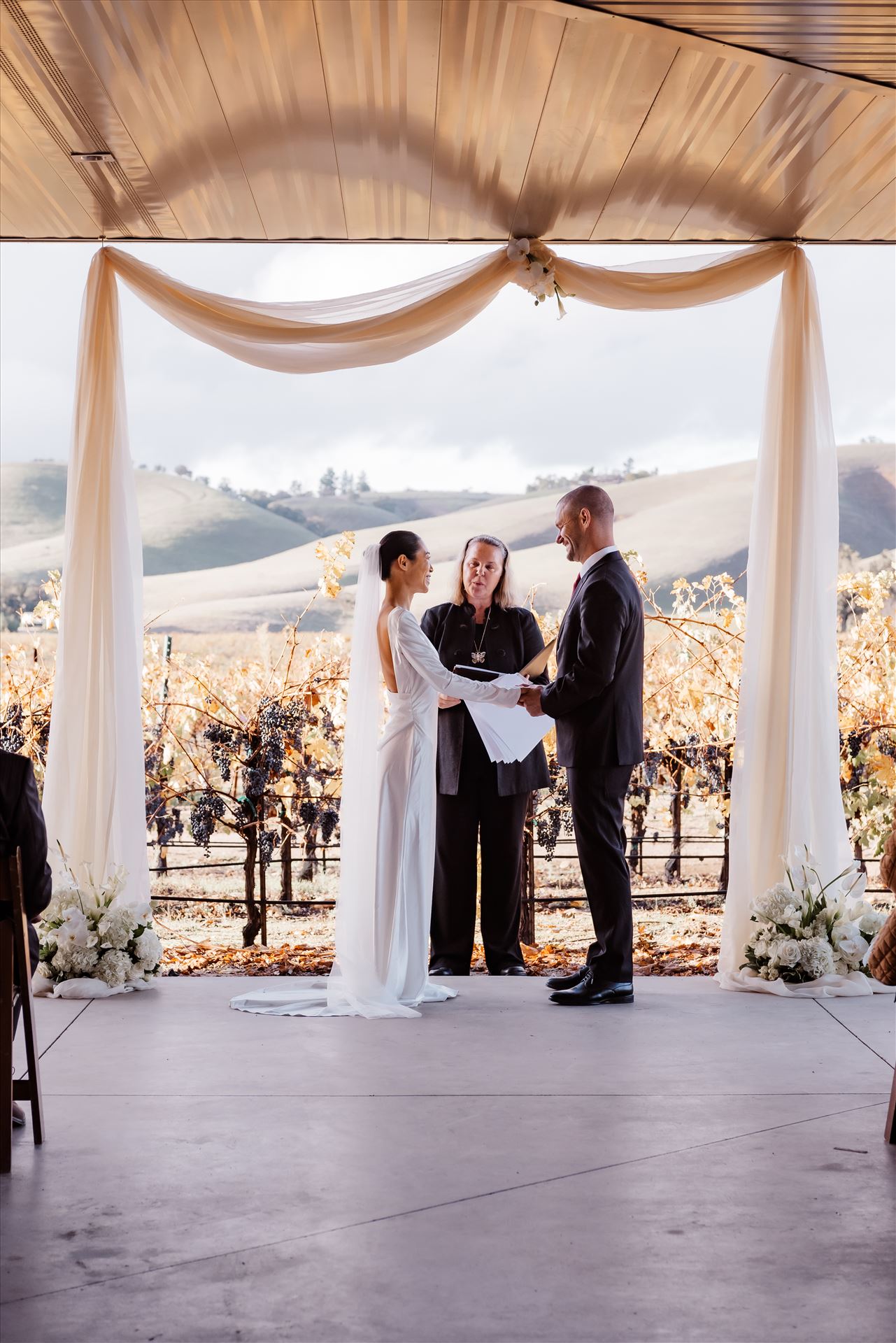 Final-9136.jpg  by Sarah Williams