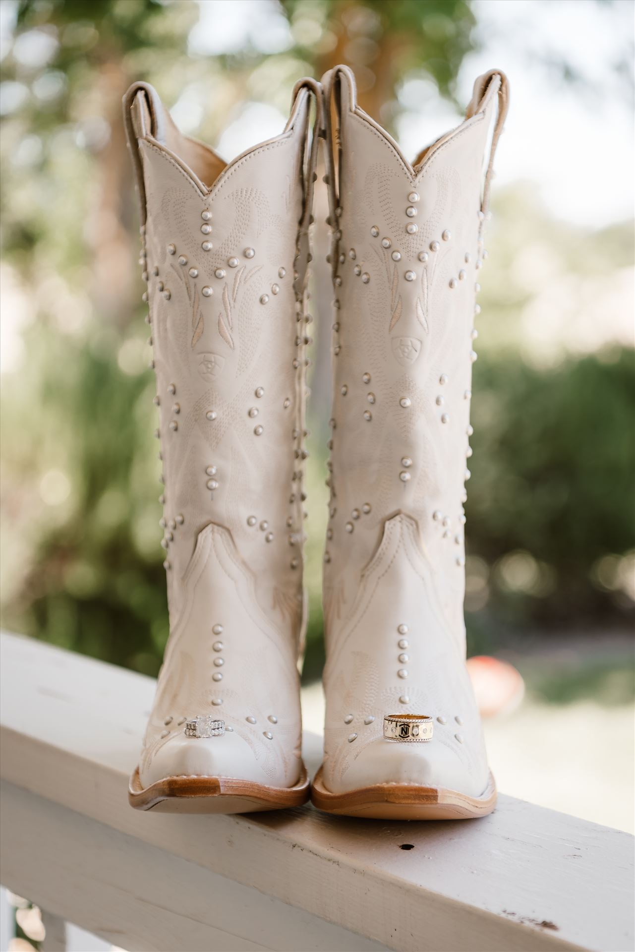 Final-3528.jpg  by Sarah Williams