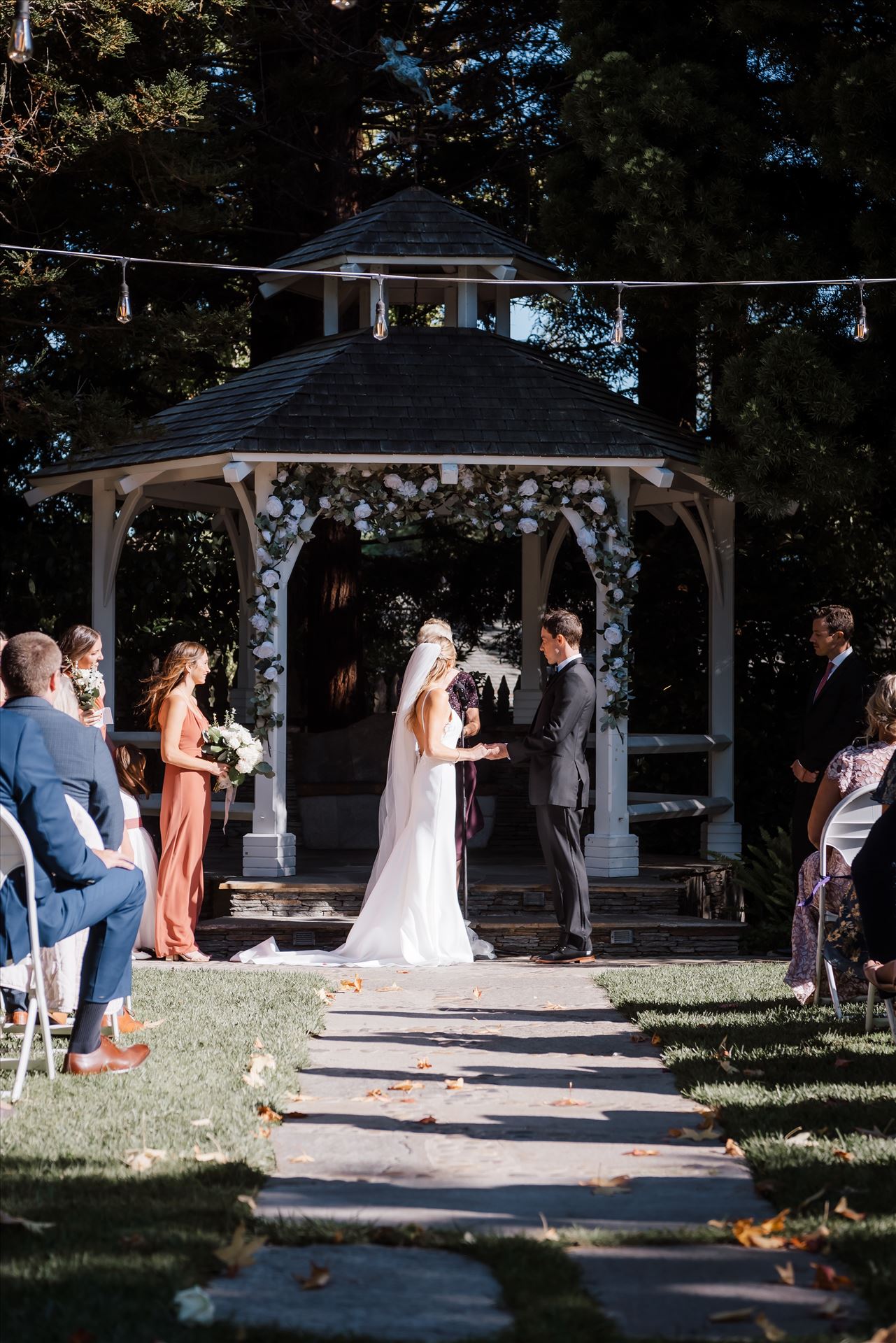 Final-8173.jpg  by Sarah Williams