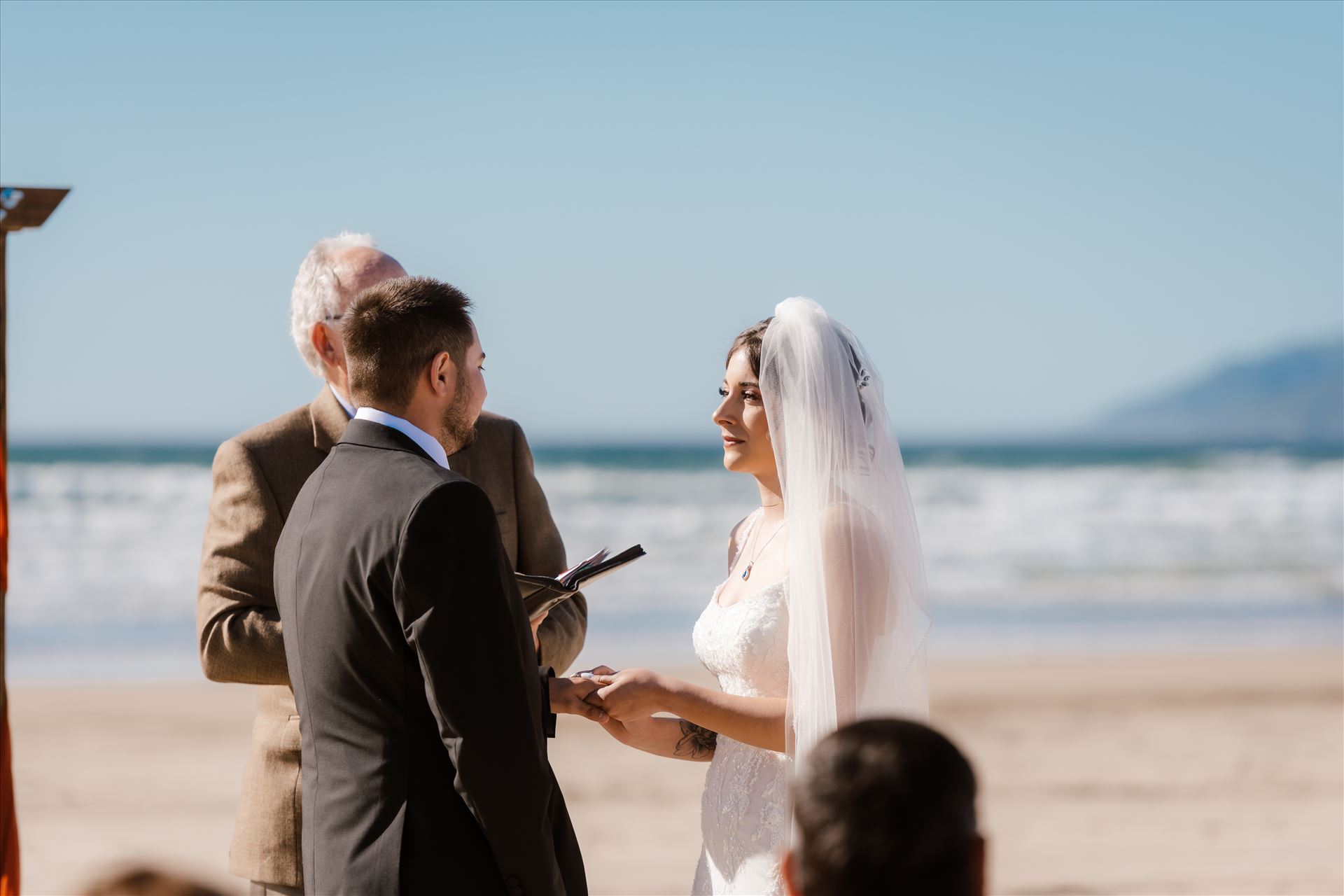 Final-4311.jpg  by Sarah Williams