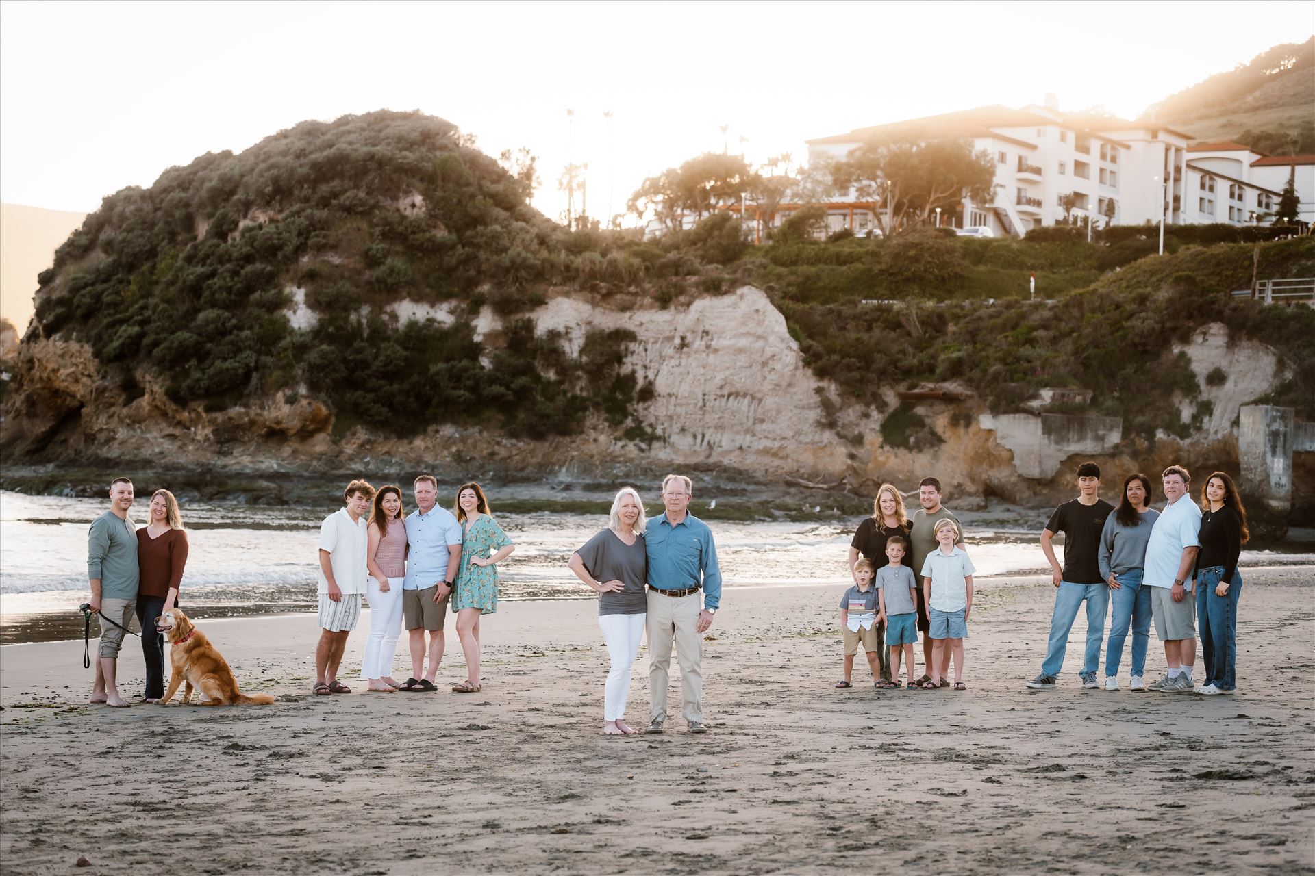 Final--6.jpg  by Sarah Williams