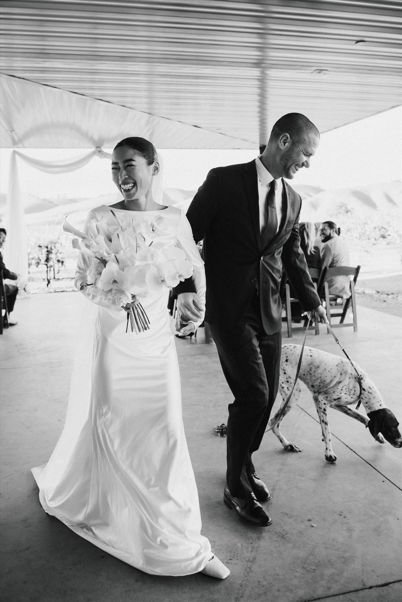 Final-9175-2.jpg  by Sarah Williams