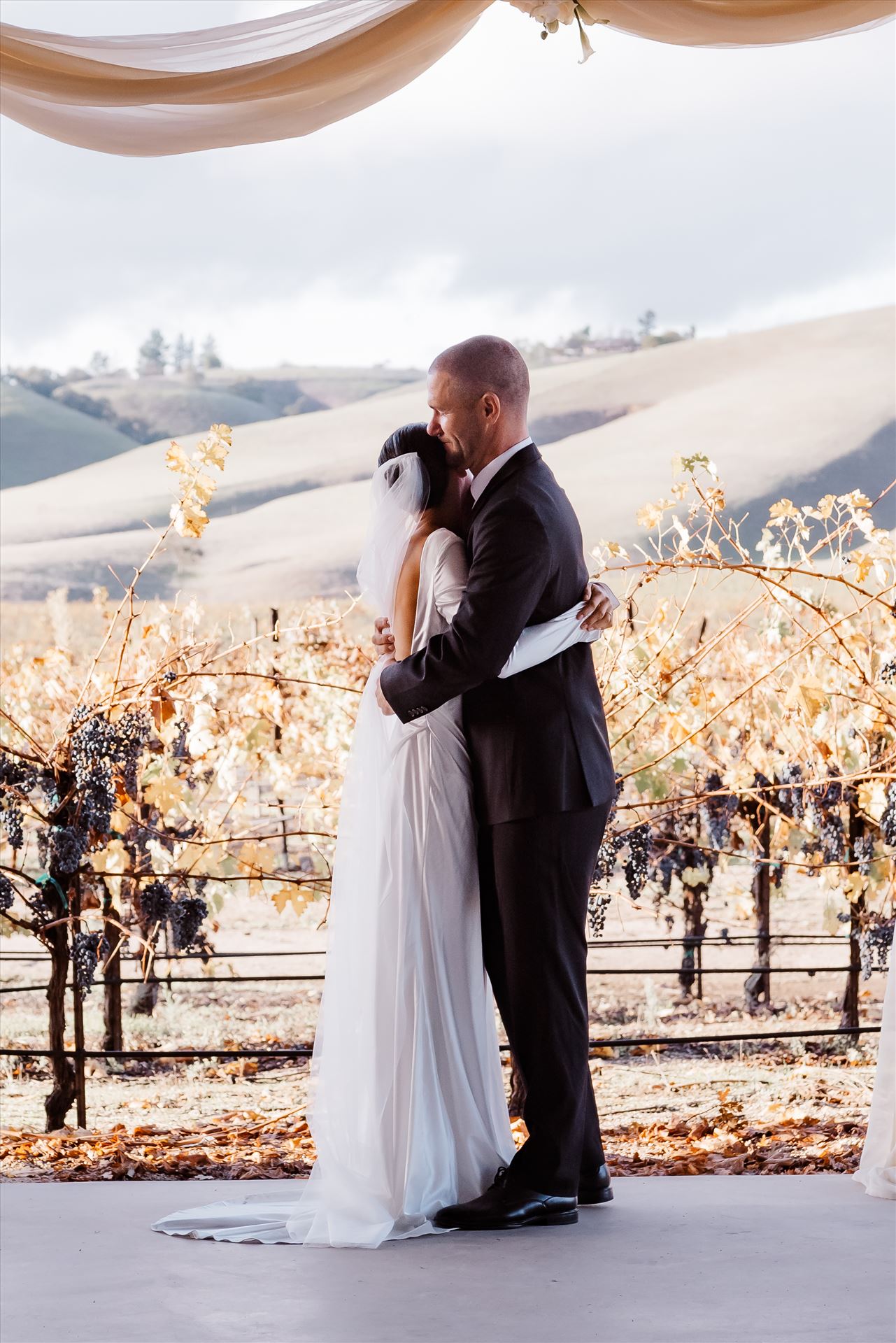 Final-9151.jpg  by Sarah Williams