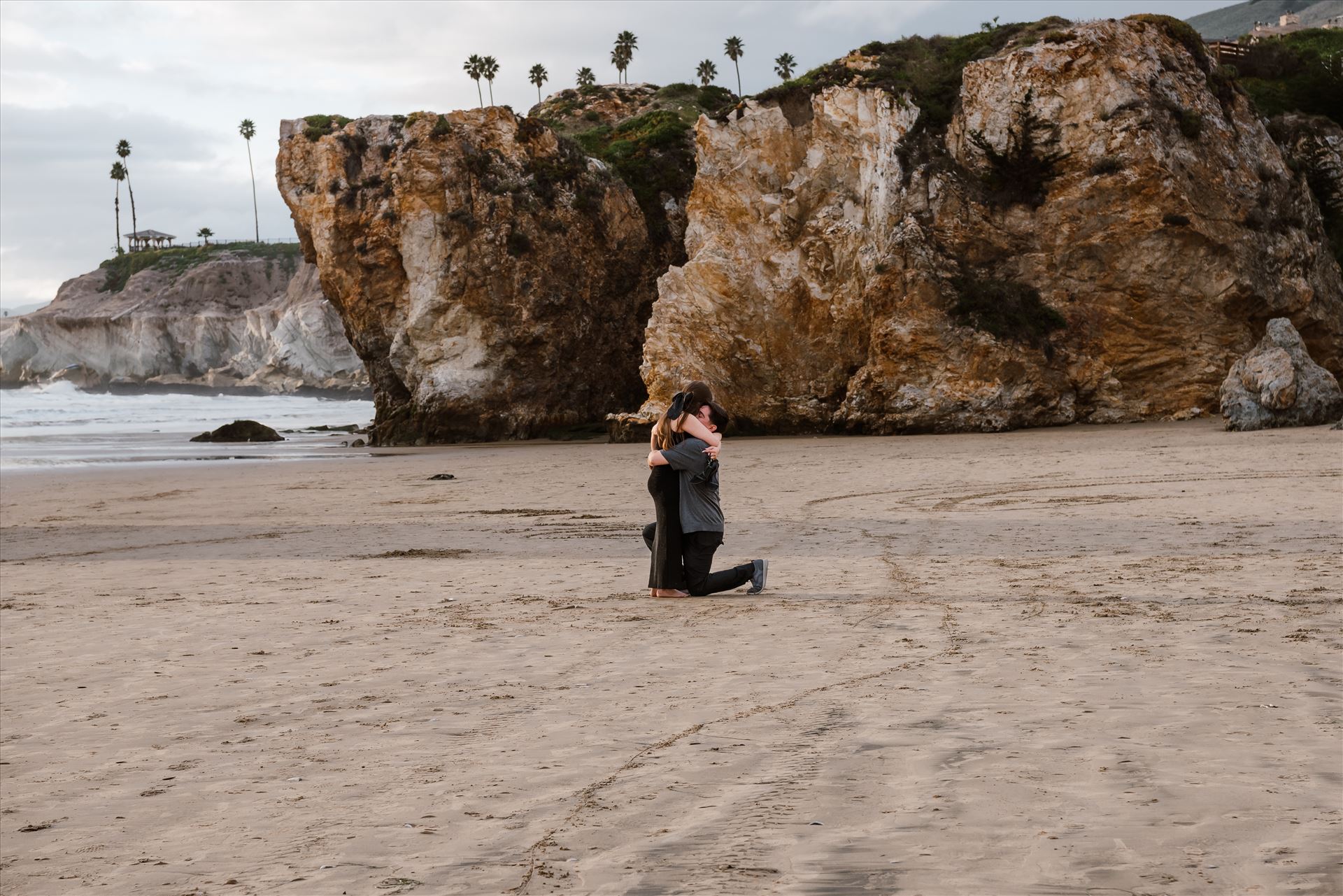 Final-9500.jpg  by Sarah Williams