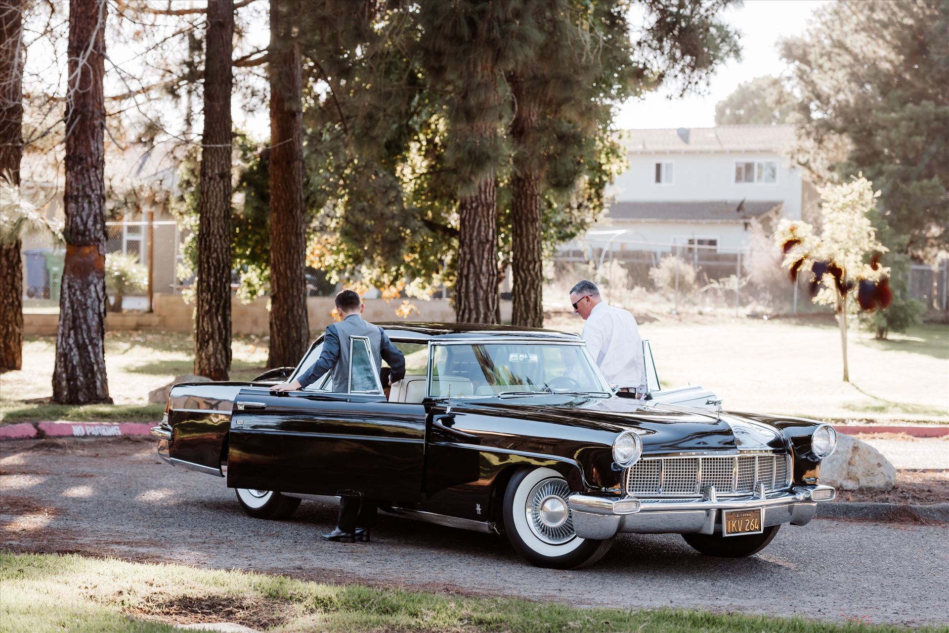 Final-1667.jpg  by Sarah Williams