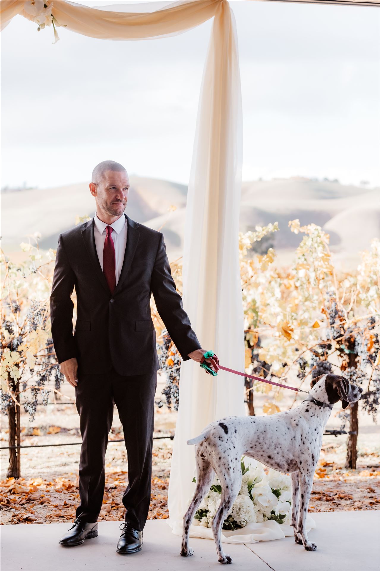 Final-2373.jpg  by Sarah Williams