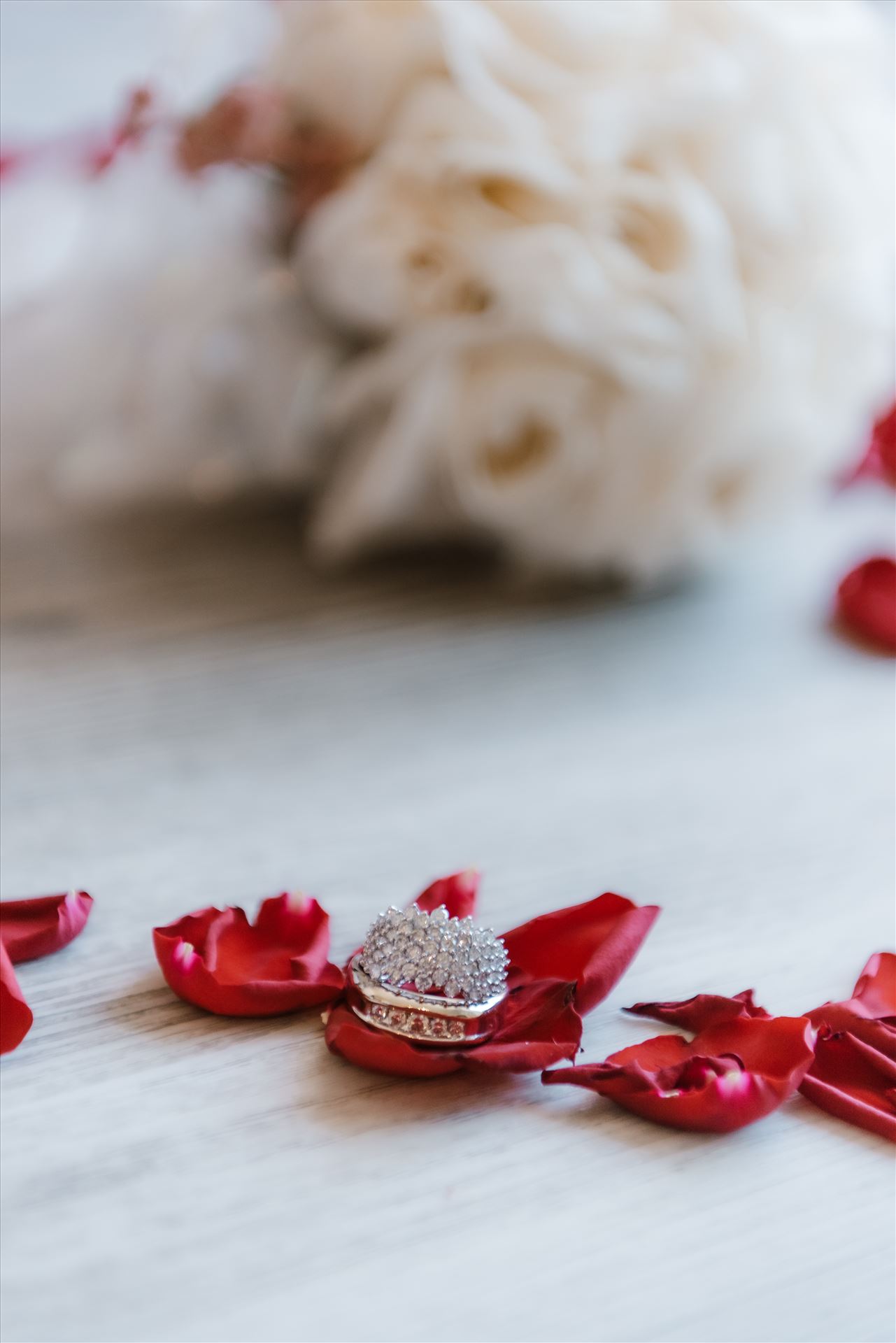 Final-0572.jpg  by Sarah Williams