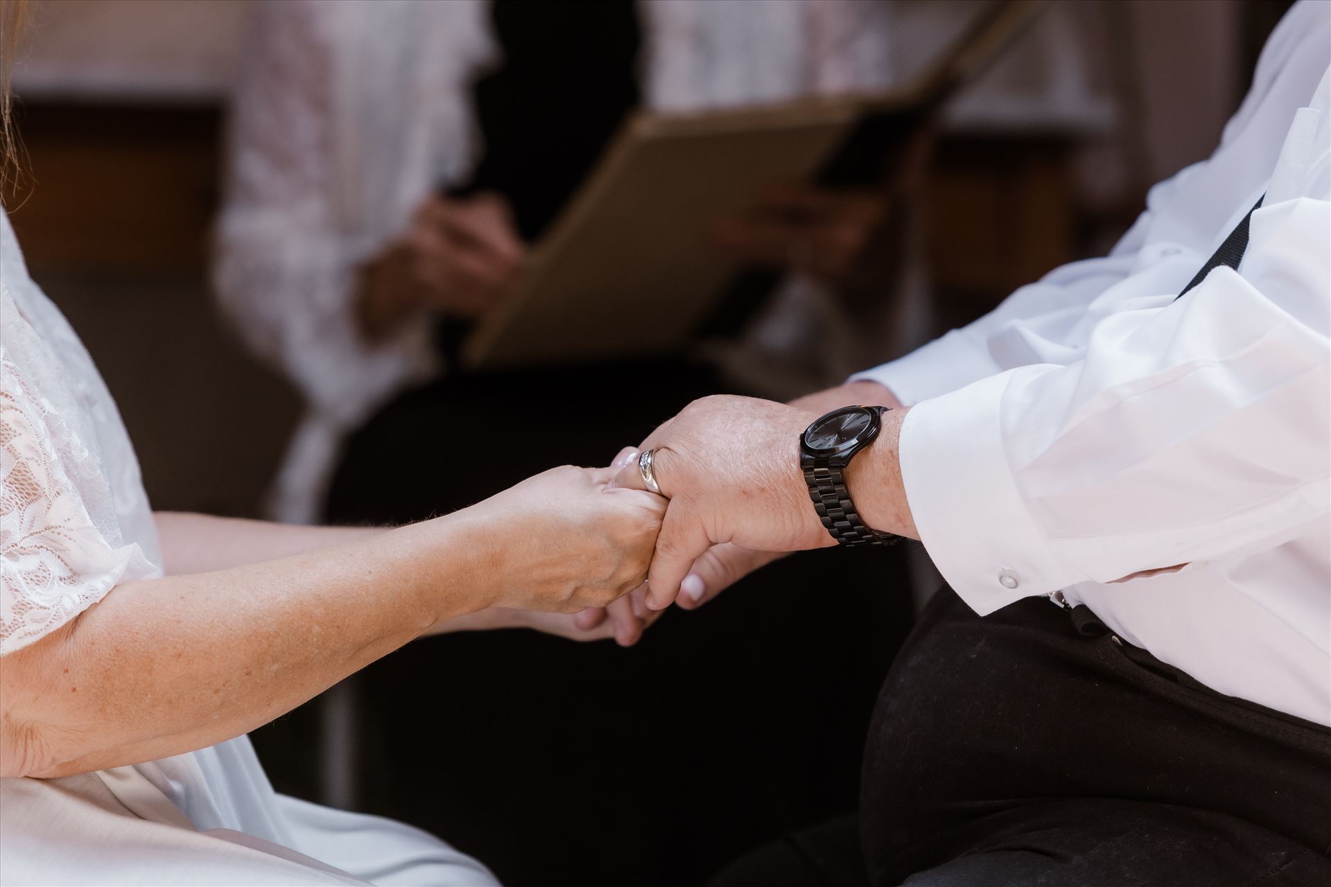 Final-8637.jpg  by Sarah Williams