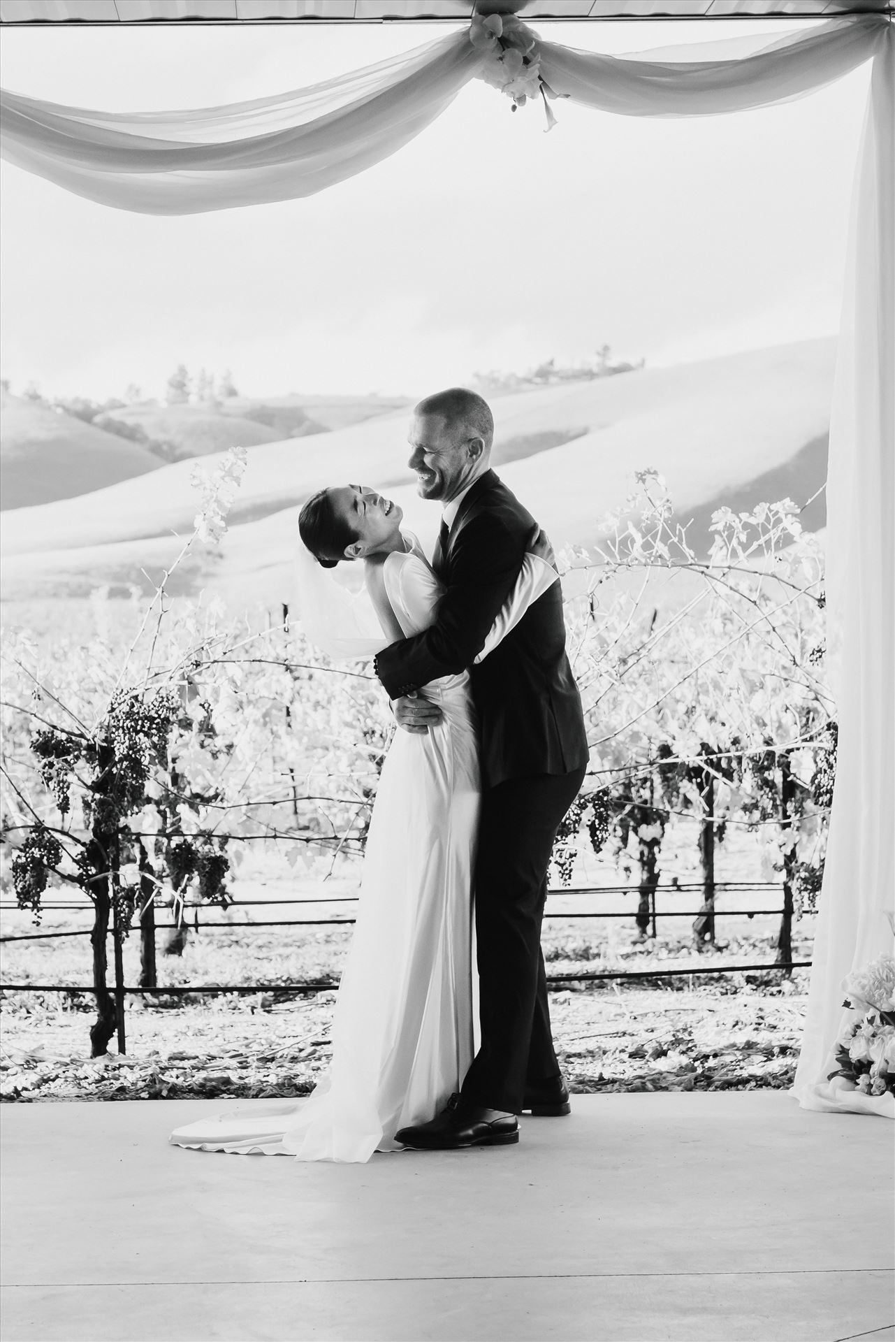 Final-9144-2.jpg  by Sarah Williams