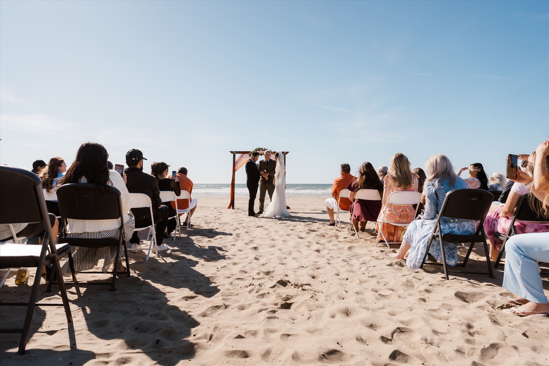 Final-9677.jpg  by Sarah Williams