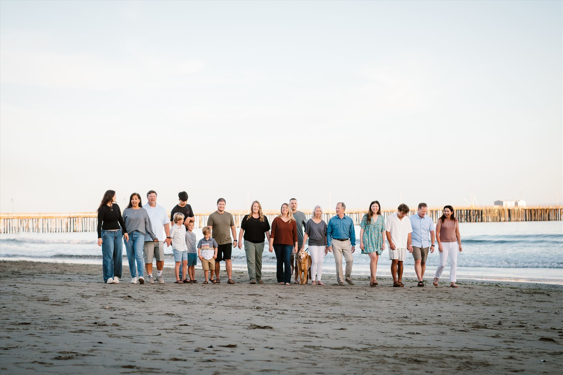 Final-.jpg  by Sarah Williams