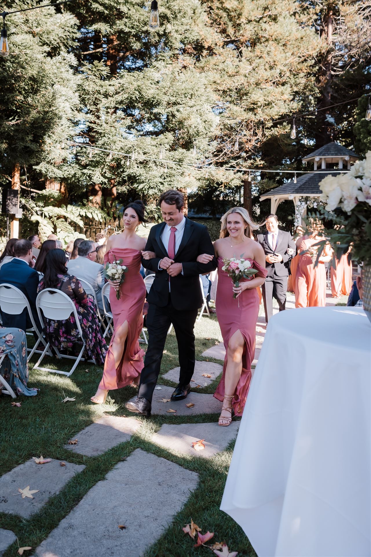 Final-8255.jpg  by Sarah Williams