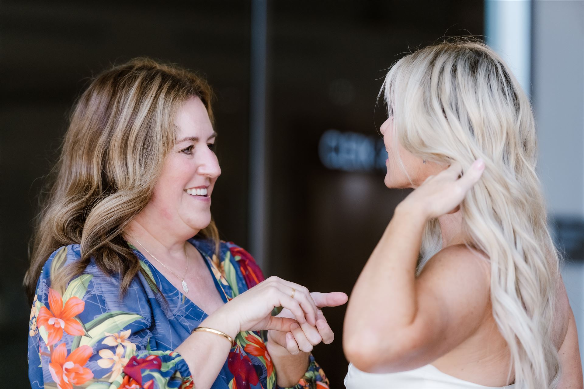 Final-7776.jpg  by Sarah Williams