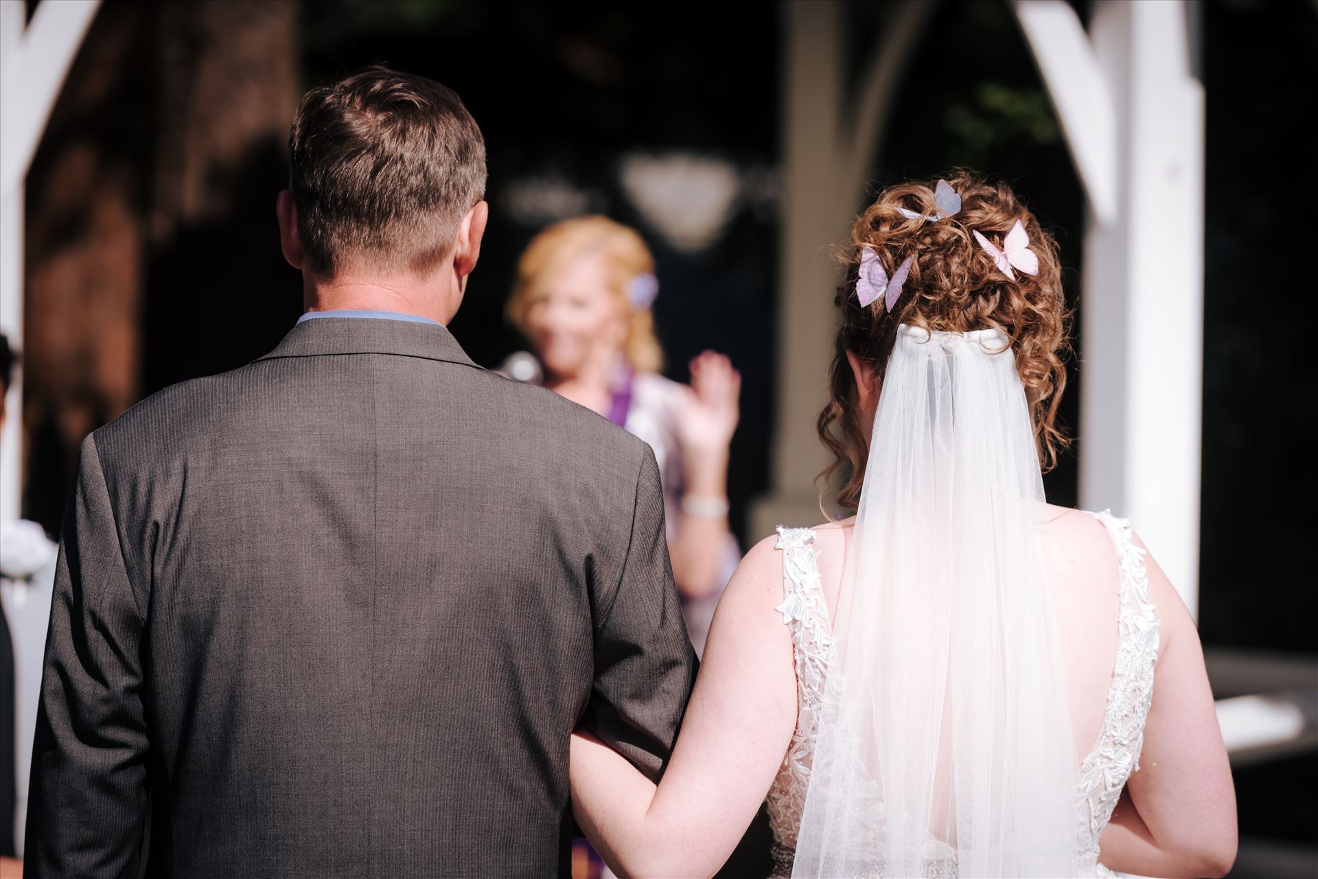 WF-0285.JPG  by Sarah Williams