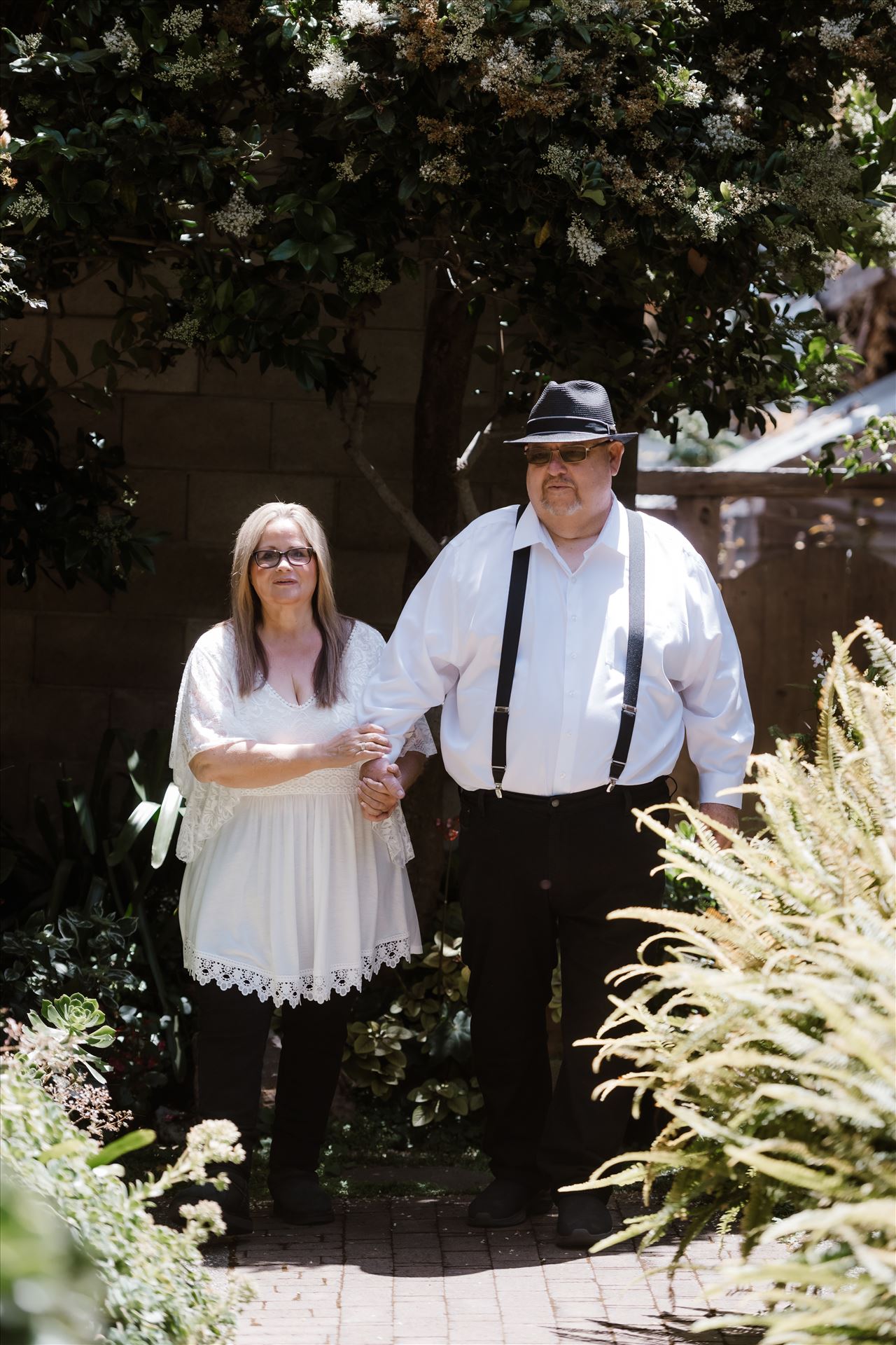 Final-8473.jpg  by Sarah Williams