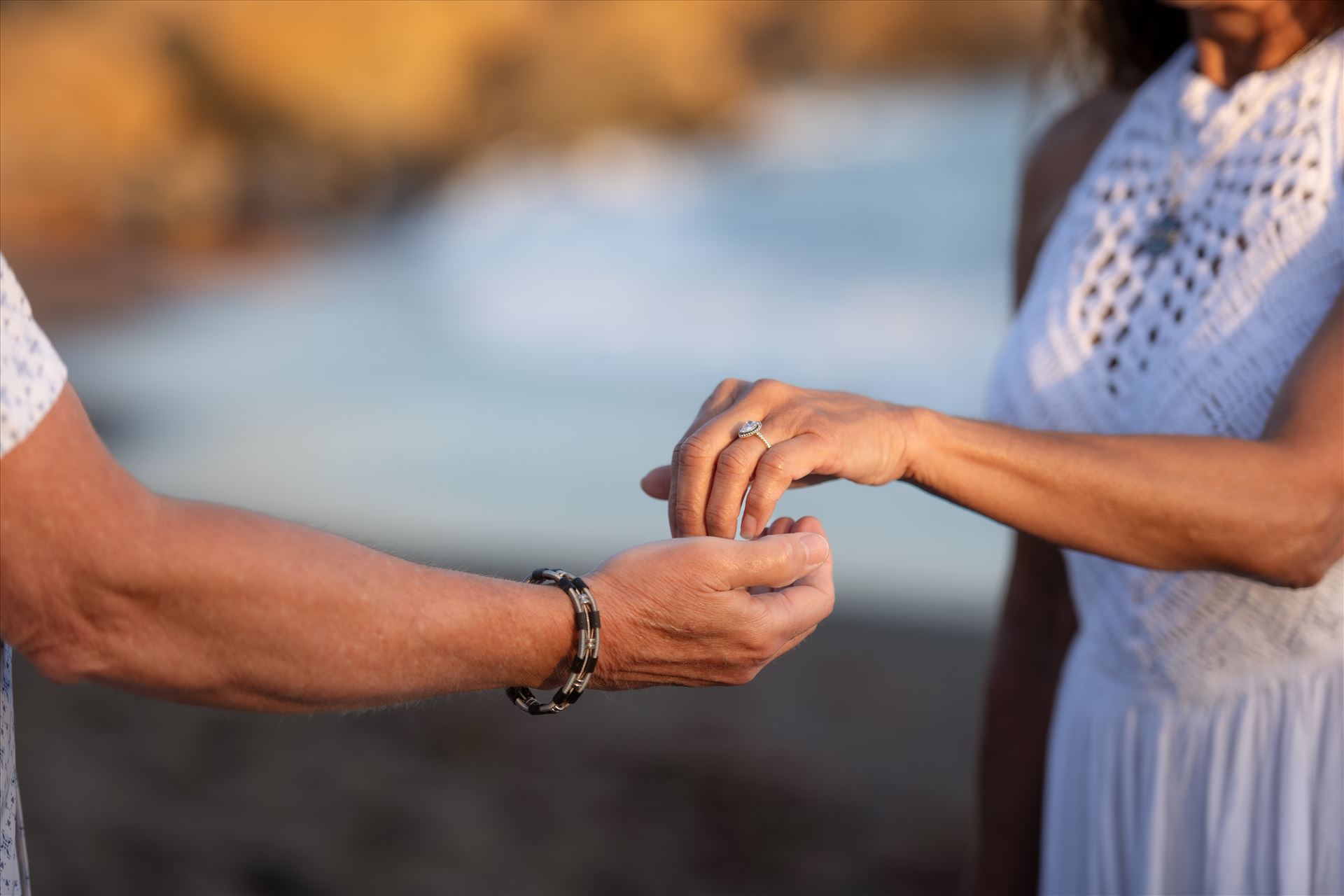 Final--15.jpg  by Sarah Williams