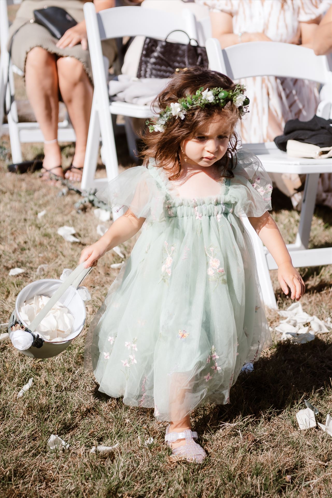 Collage-6200.jpg  by Sarah Williams