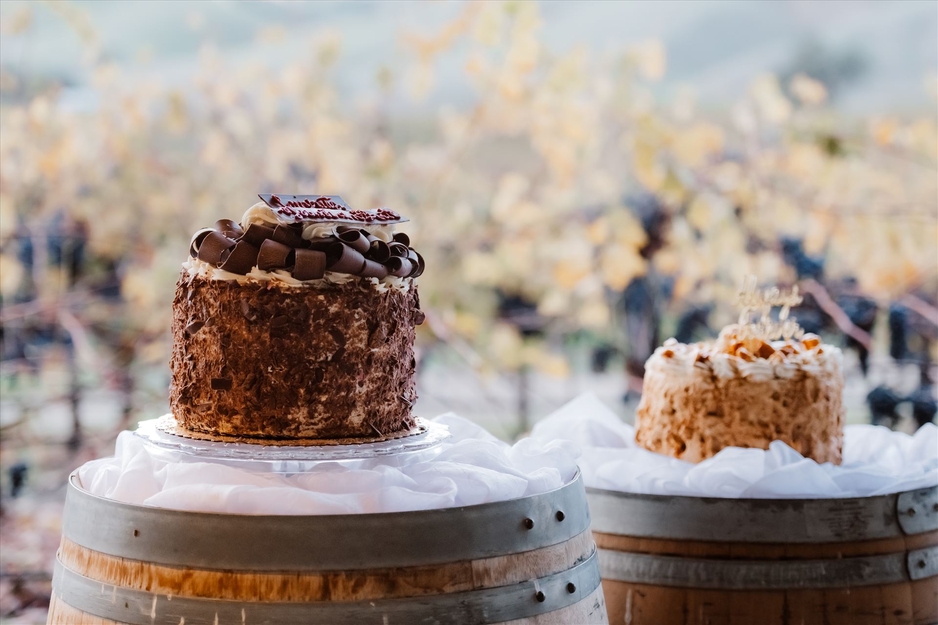 Final-2749.jpg  by Sarah Williams