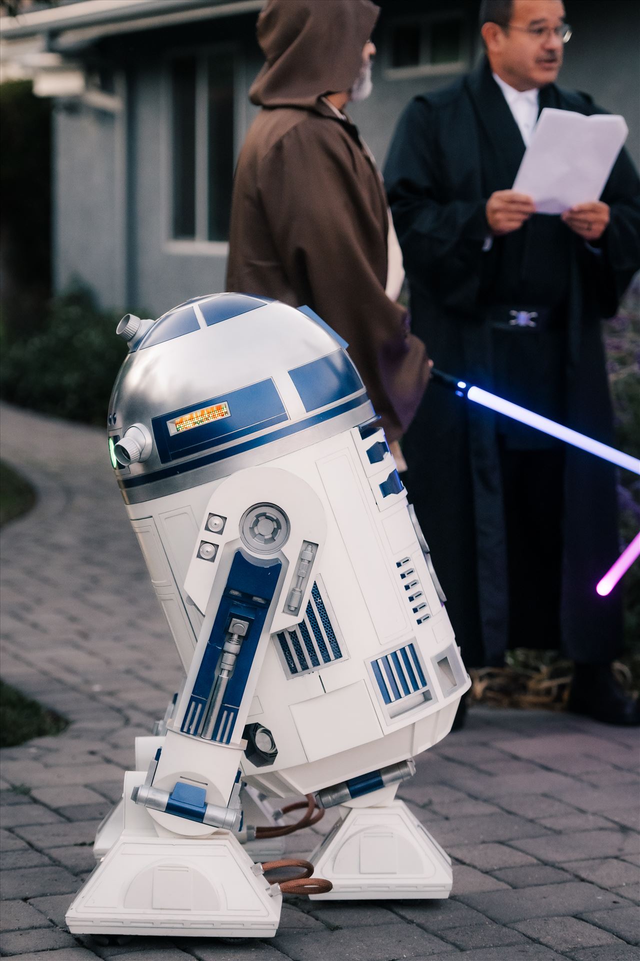 Final-8541.jpg  by Sarah Williams