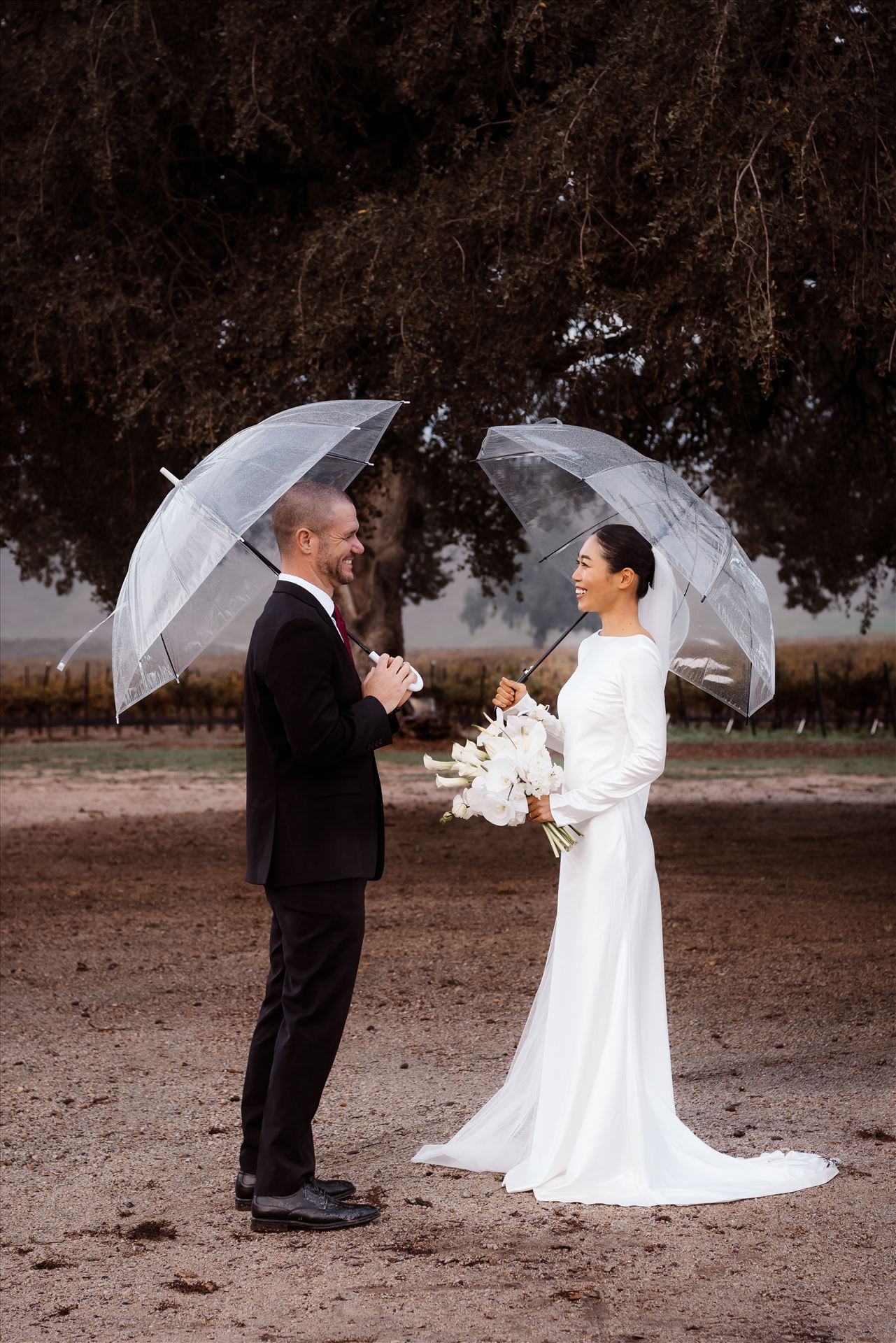 BG Final--2.jpg  by Sarah Williams