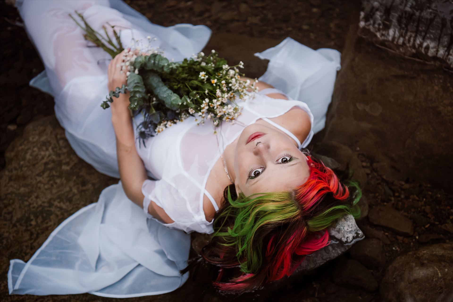 Final--8.jpg  by Sarah Williams