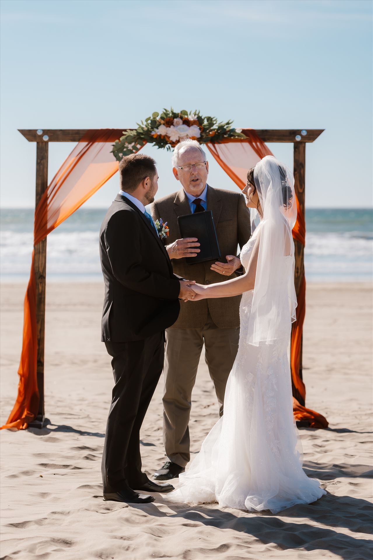 Final-4331.jpg  by Sarah Williams