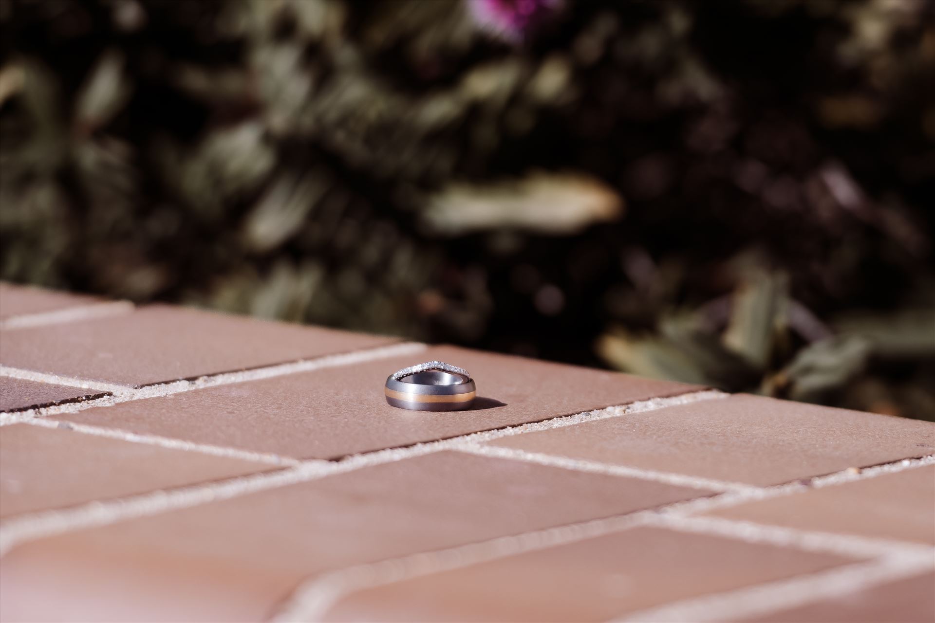 Final-1442.jpg  by Sarah Williams