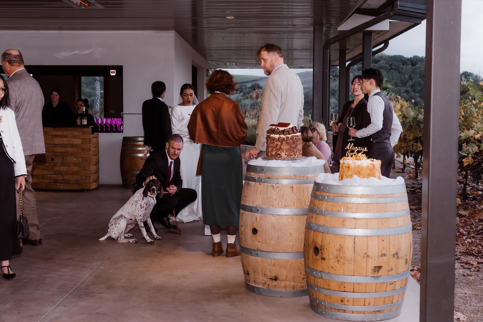 Final-9331.jpg  by Sarah Williams